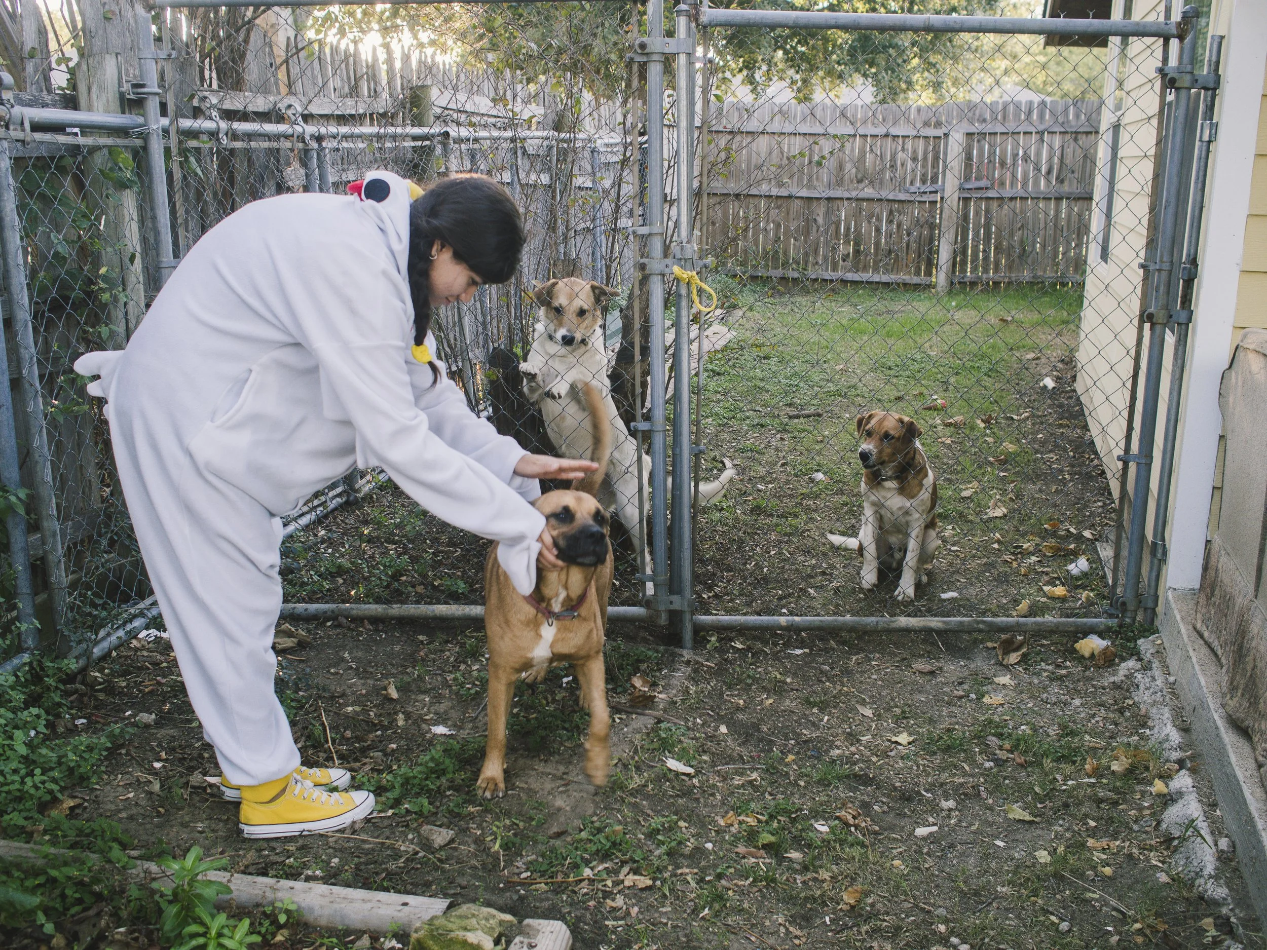 f2.8, 1/60, ISO 200. October 31, 2014
