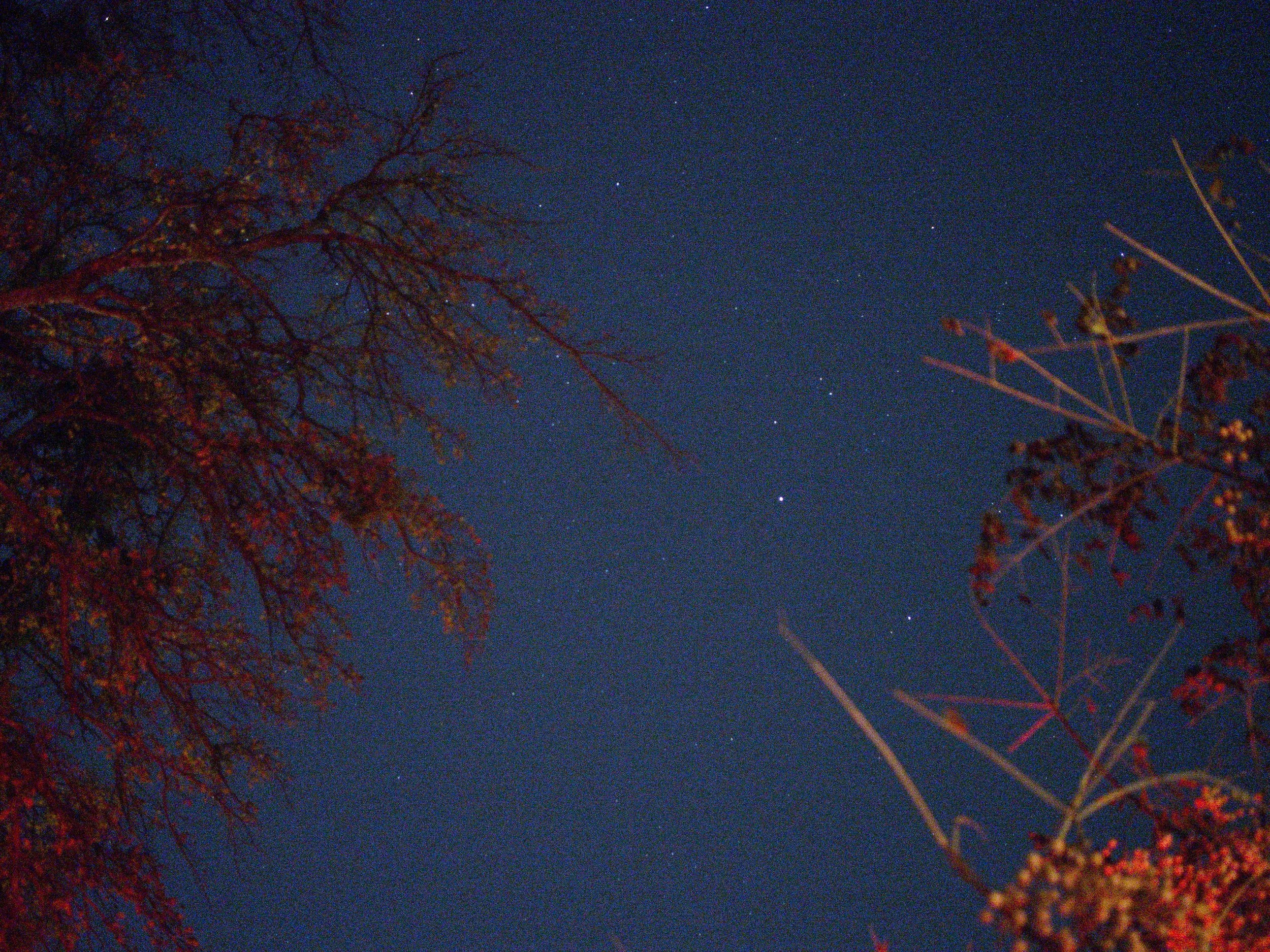 f1.8, 1/4, ISO 6400. November 28, 2014