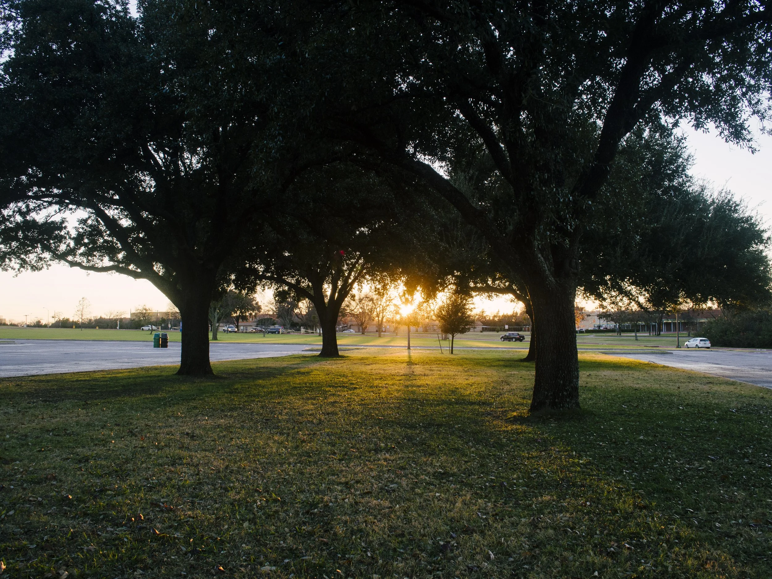 f8, 1/60, ISO 400. December 16, 2015