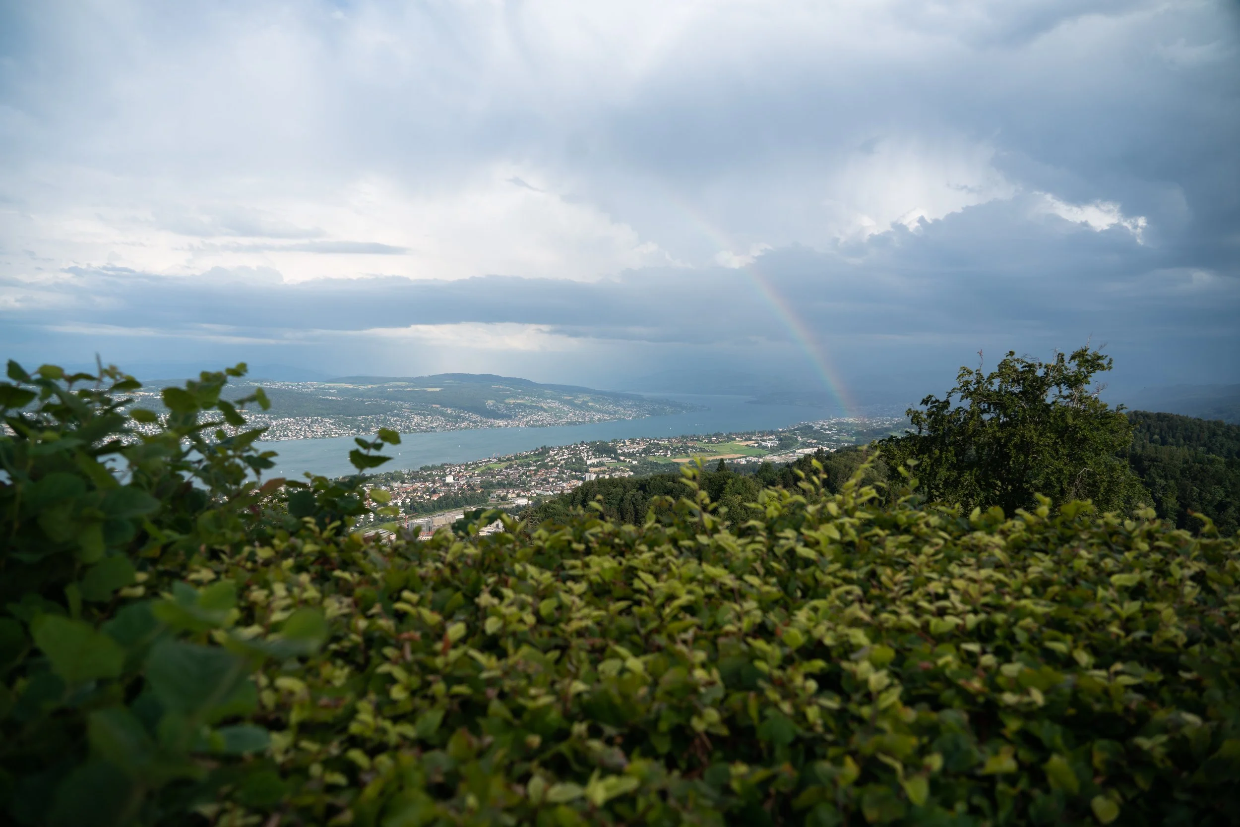 Sony a7R Mark 2, 24mm, f4, 1/1000, ISO 100. July 10, 2020