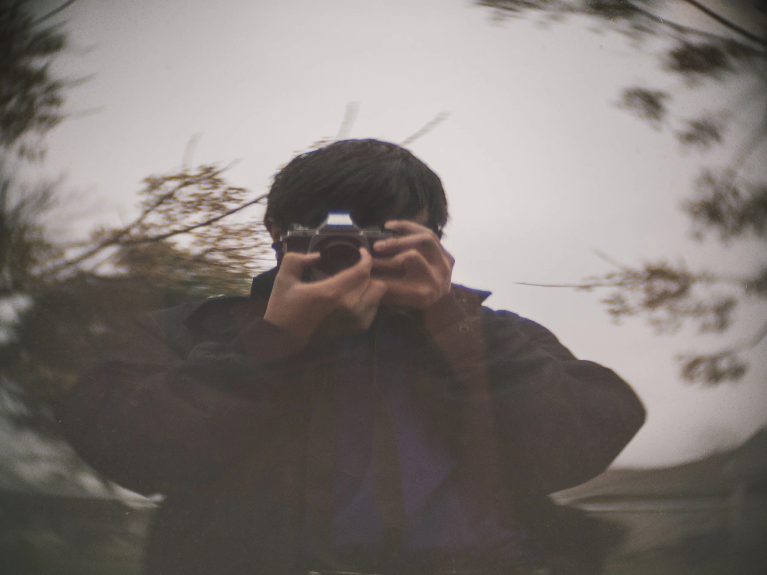  1/125, ISO 250. December 20, 2014 