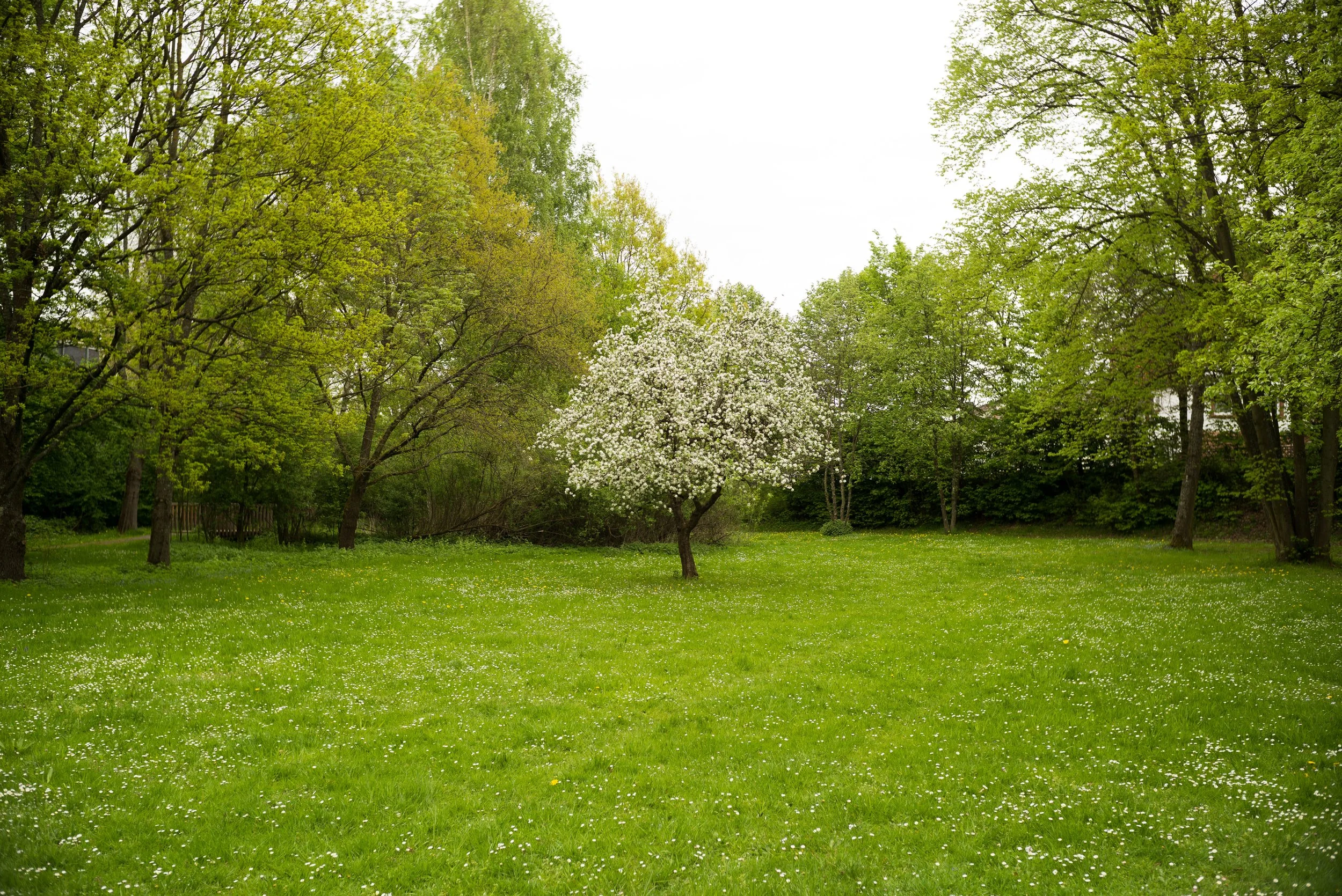  f4.8, 1/125, ISO 200. April 28, 2018 