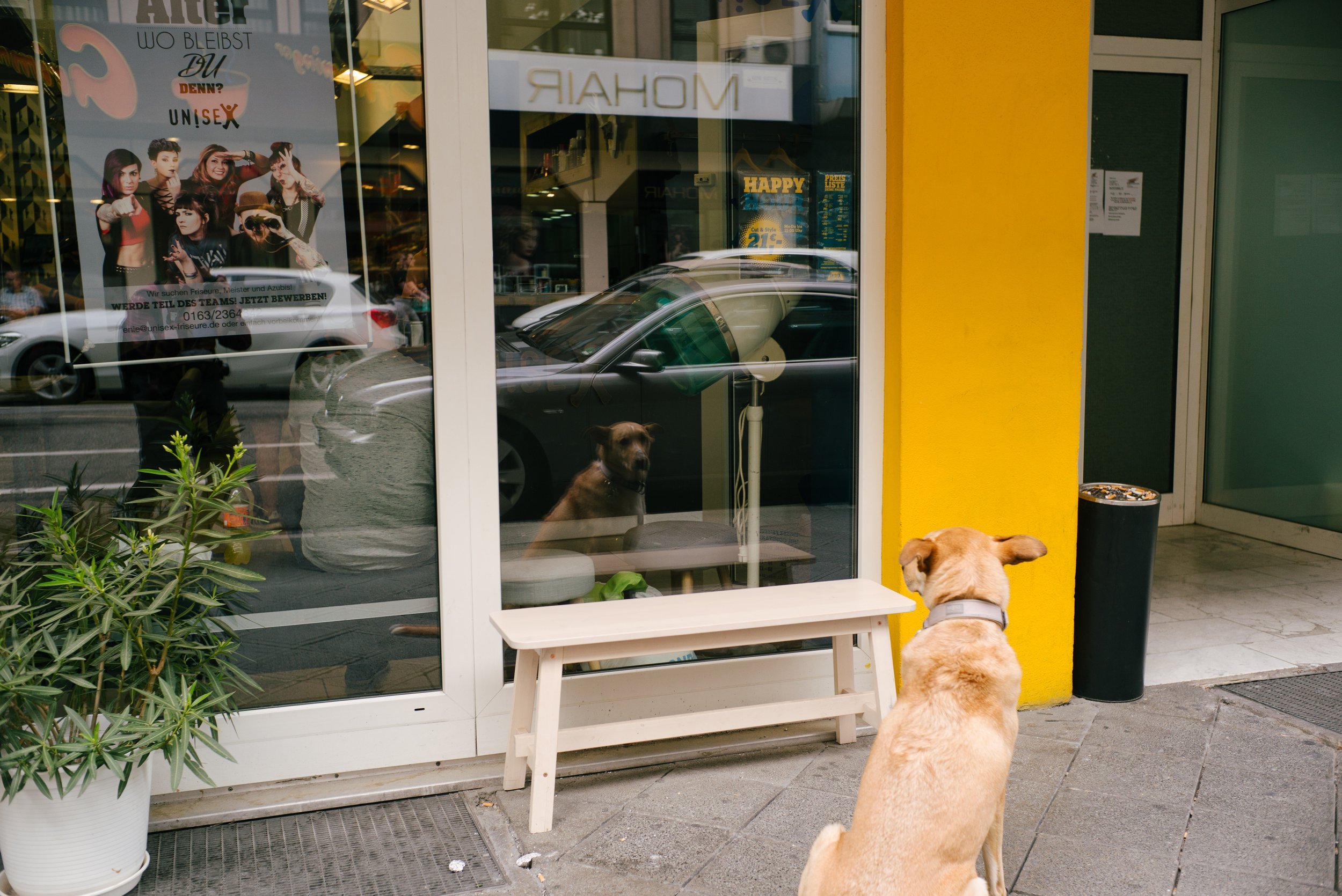  f5.6, 1/200, ISO 400. May 11, 2018 