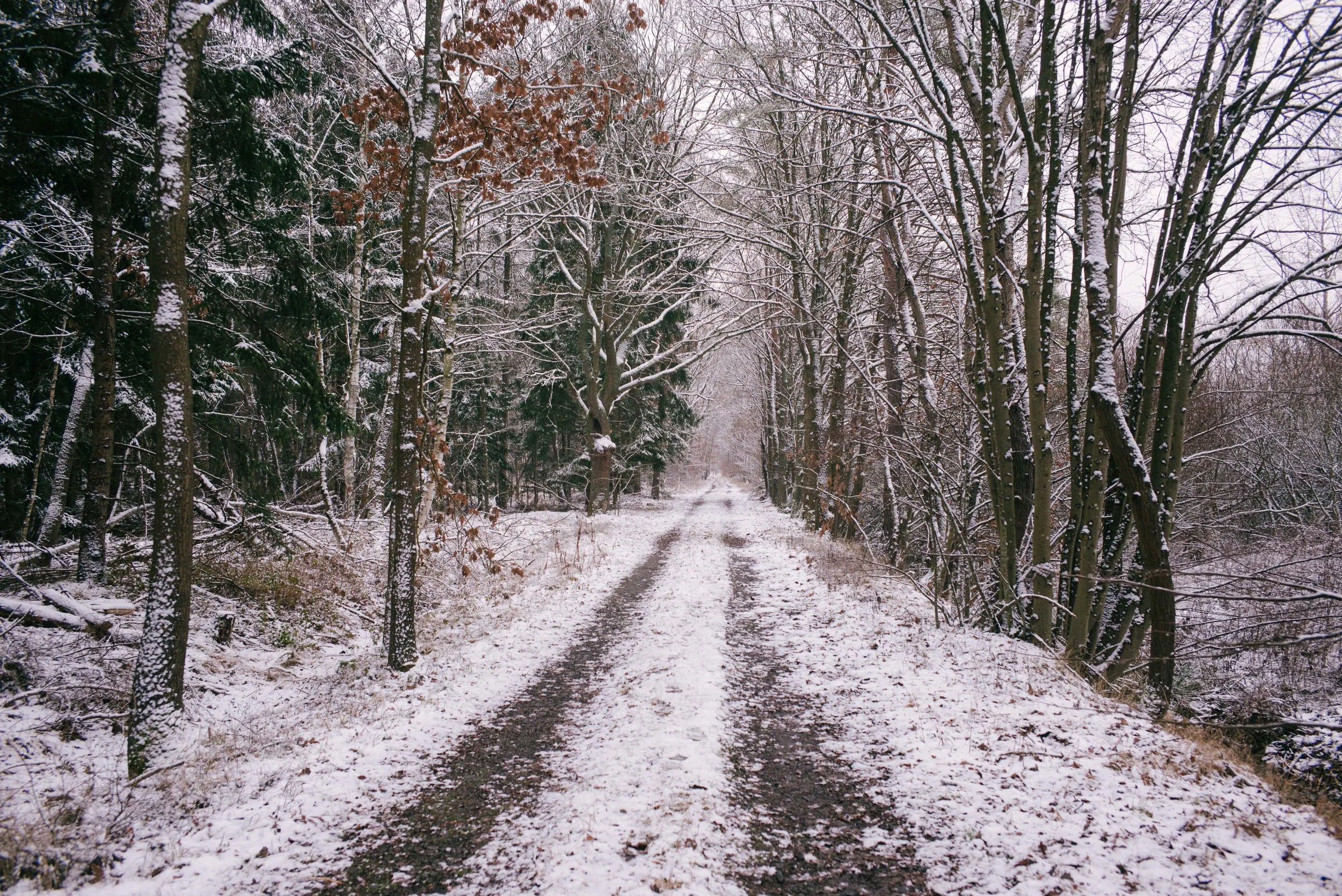 Leica M240, f4.8, 1/60, ISO 800. January 11, 2019
