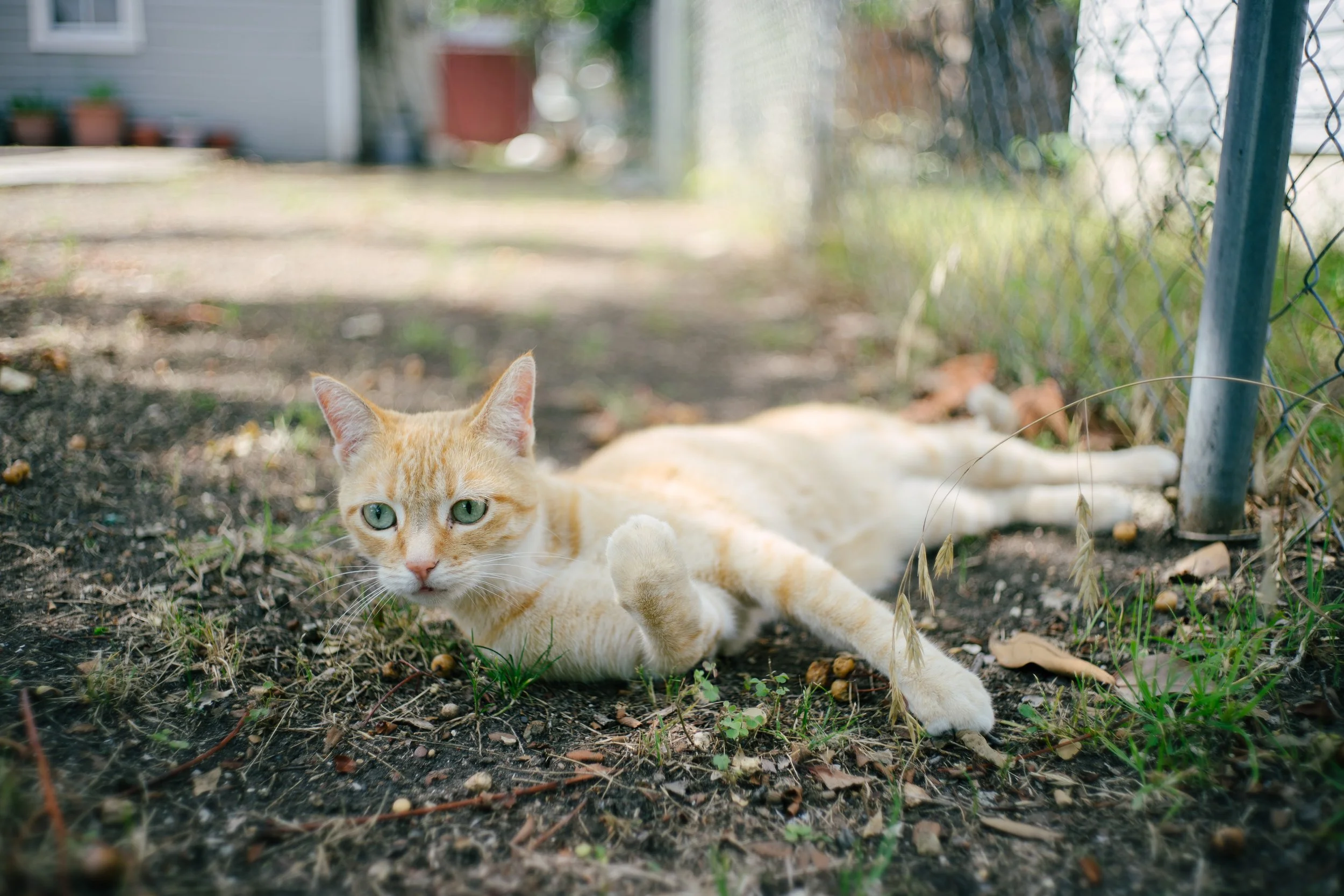 Sony a7R Mark 2, 1/250, ISO 50. May 30, 2017