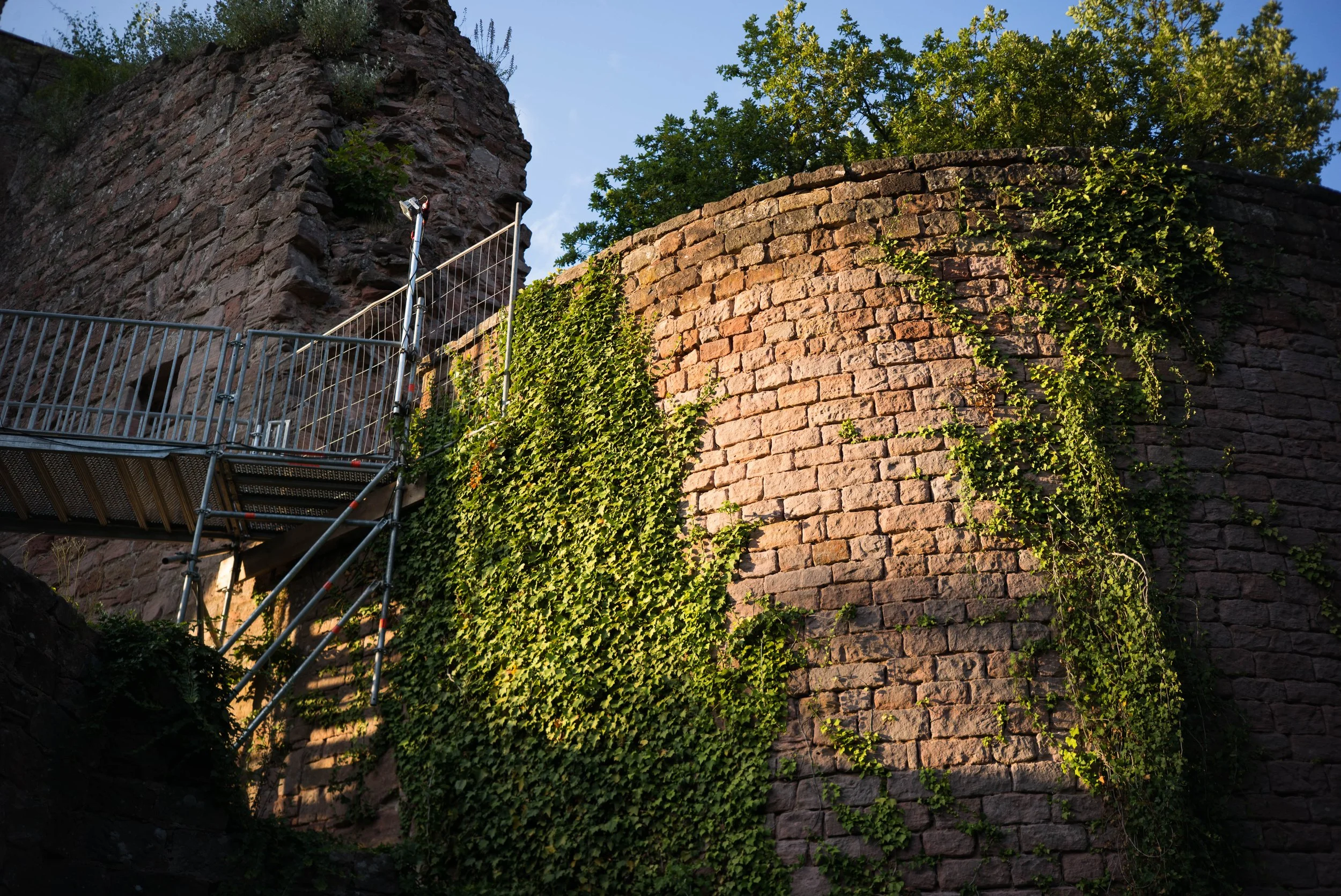  Leica M240, f4, 1/250, ISO 200. July 28, 2018 