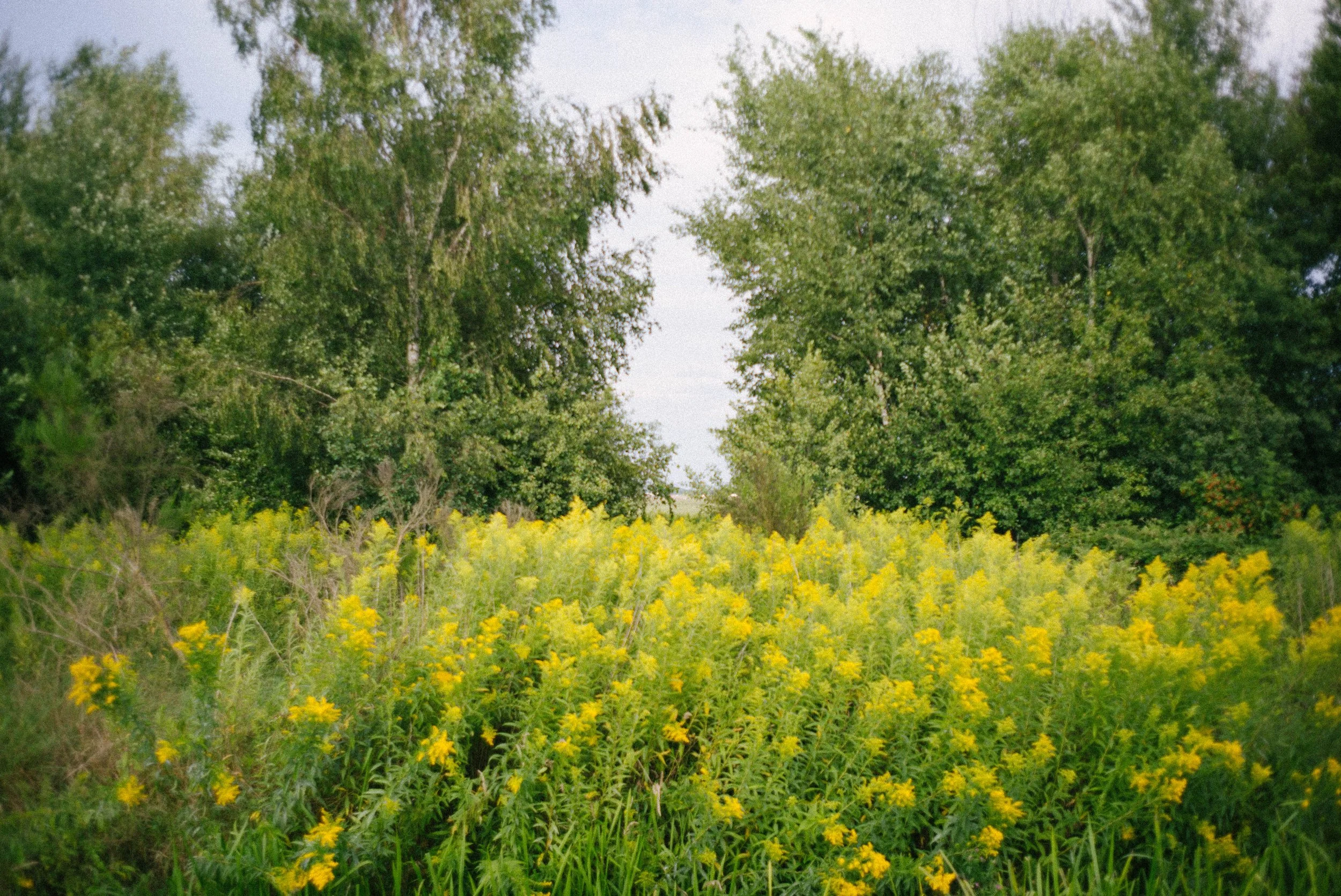  Leica M240, f4, 1/1000, ISO 200. July 28, 2018 
