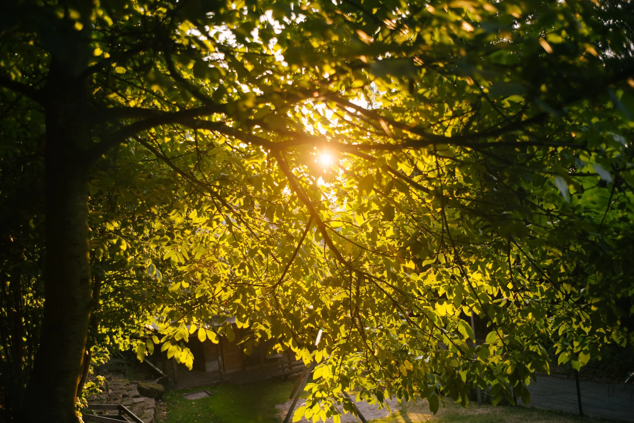  Leica M240, f4, 1/250, ISO 200. July 28, 2018 