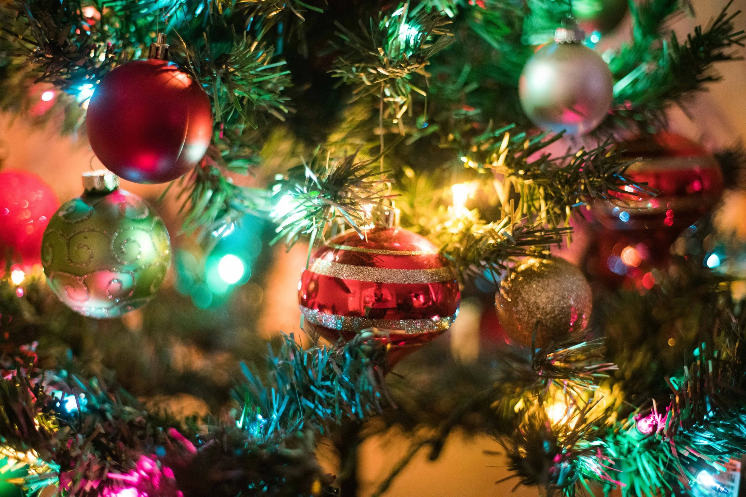  Sony a7R Mark 2, 1/60, ISO 4000. December 25, 2019 