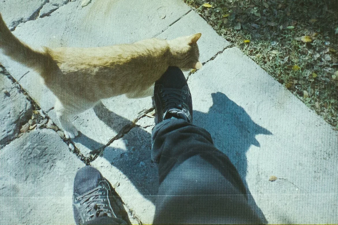  Fujifilm Superia 400. 