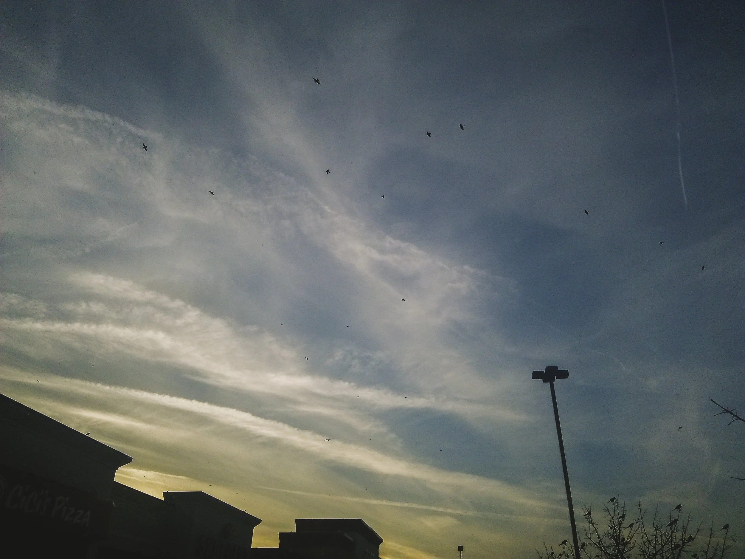 f2.4, 1/2000, ISO 50. December 8, 2014