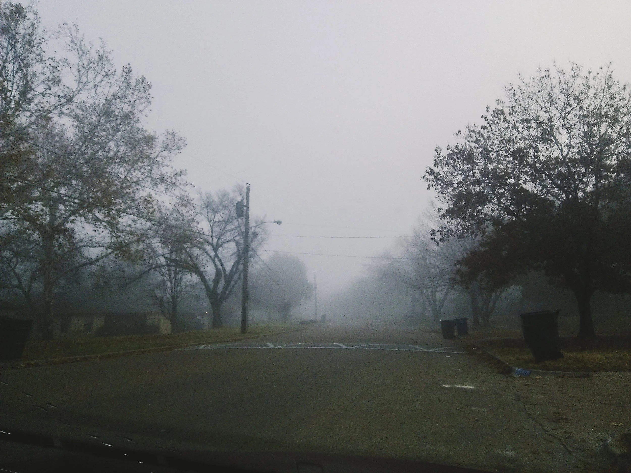f2.4, 1/400, ISO 50. December 9, 2014