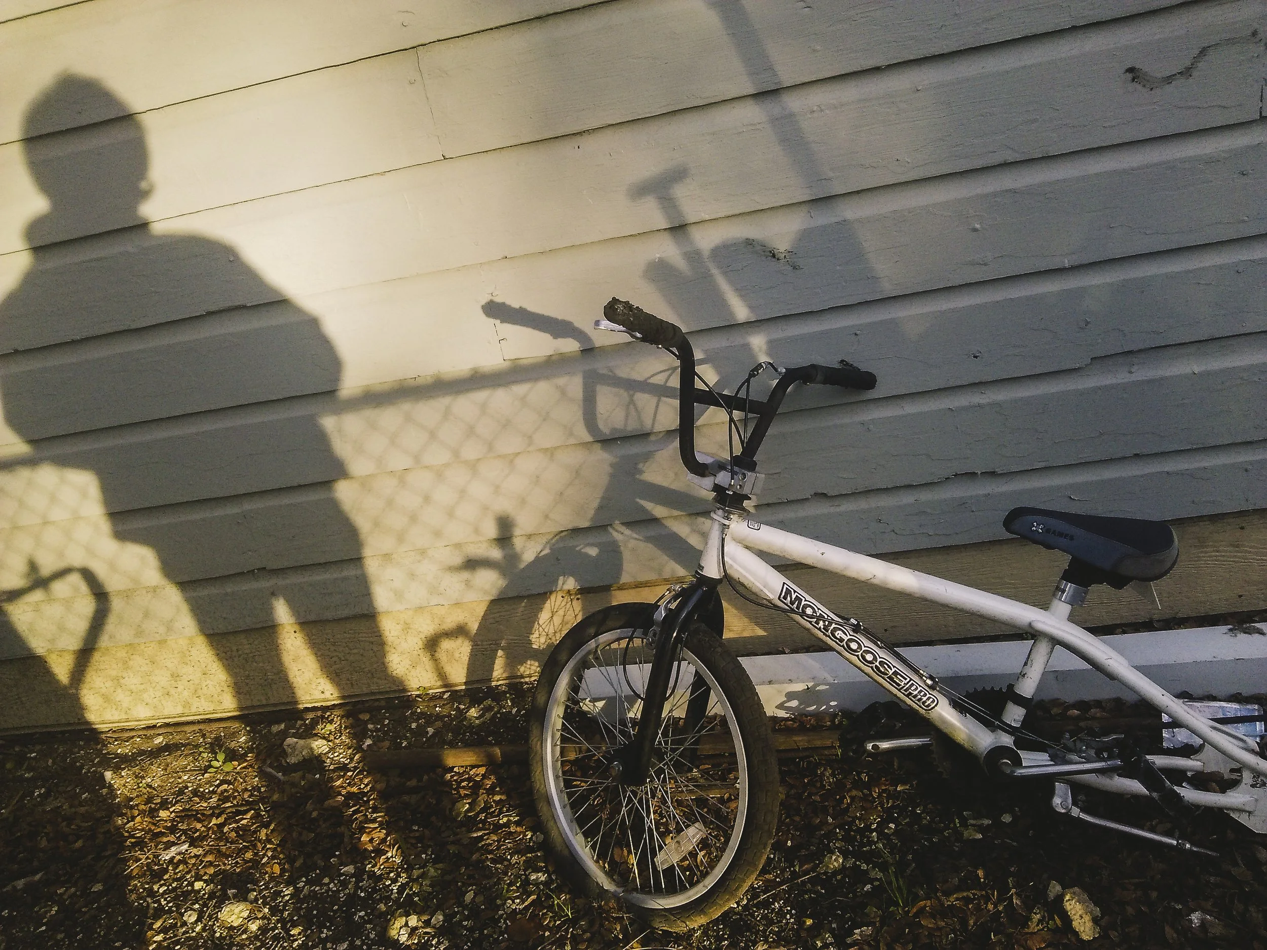 f2.4, 1/200, ISO 50. December 16, 2014
