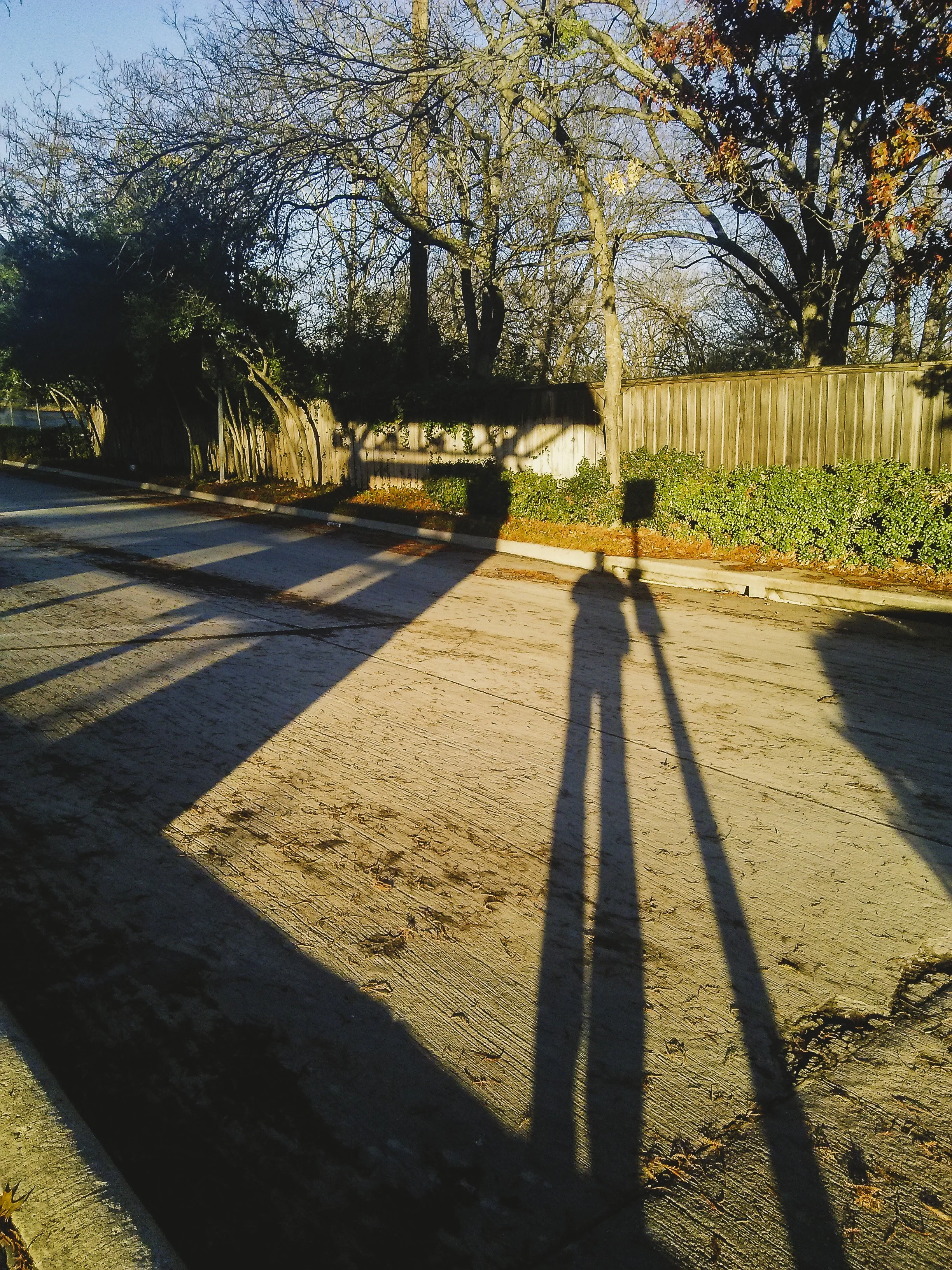 f2.4, 1/500, ISO 50. December 15, 2014