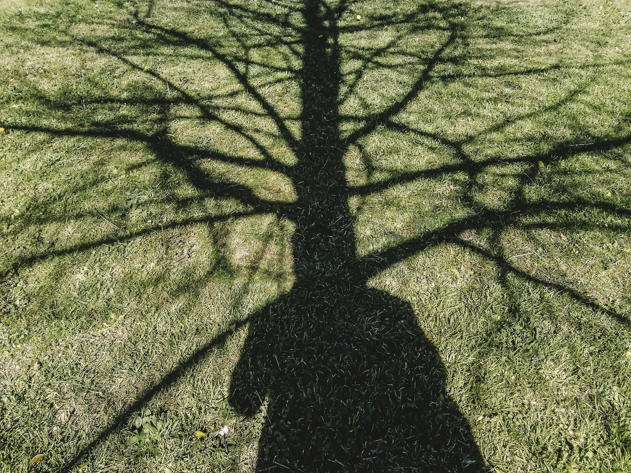 f2.4, 1/640, ISO 50. February 12, 2015
