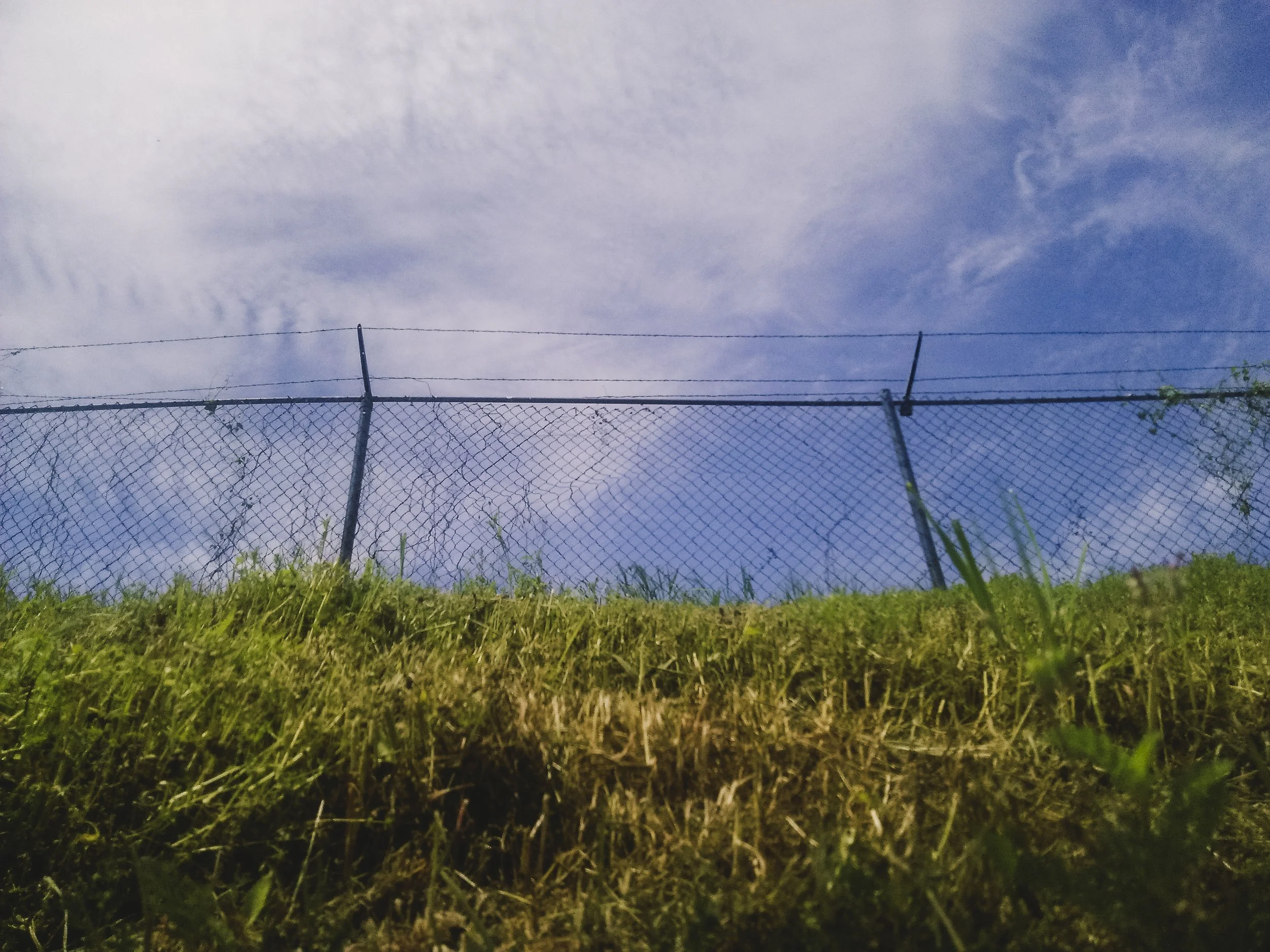 f2.4, 1/3200, ISO 50. April 3, 2015