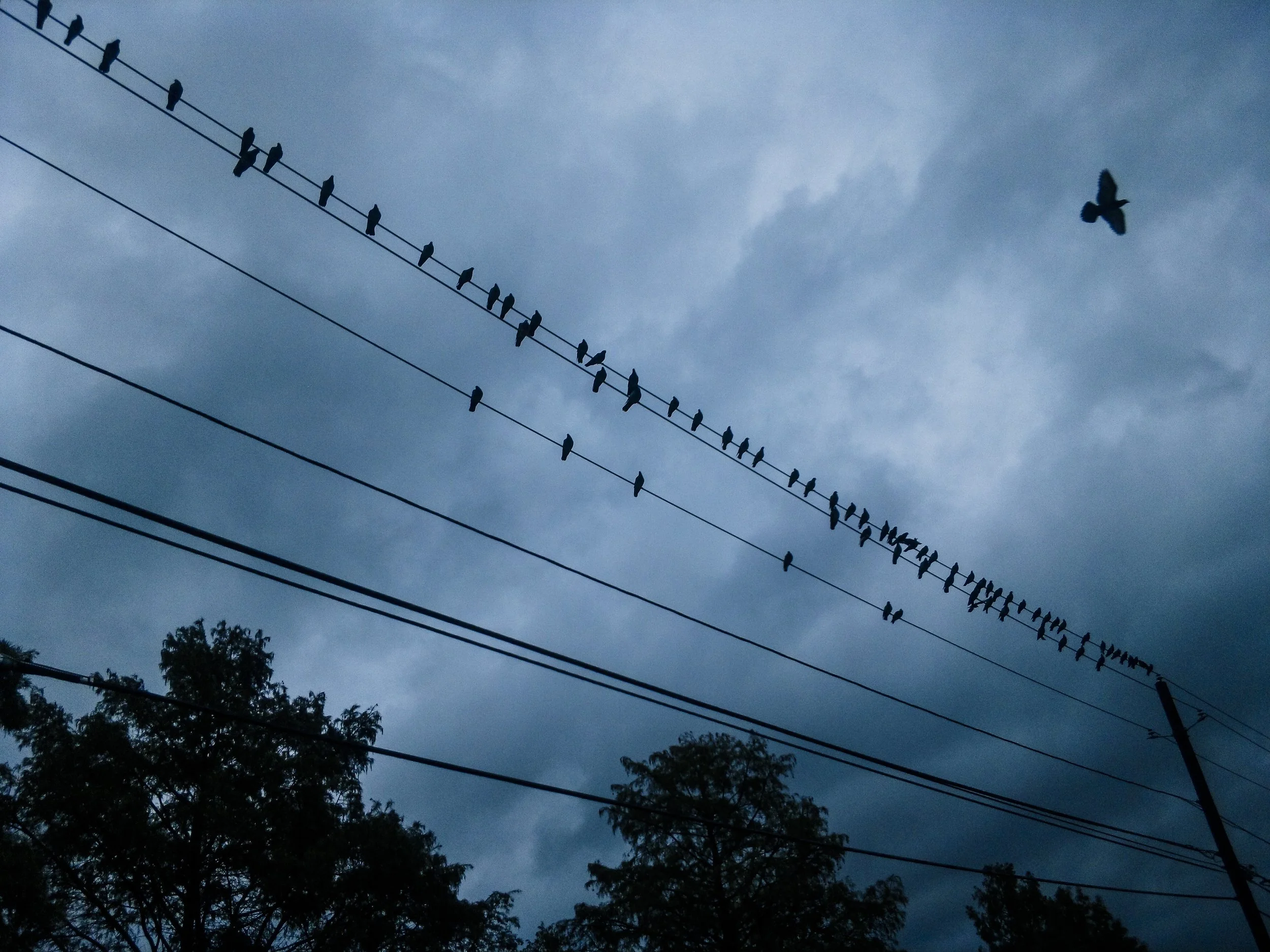 f2.8, 1/400, ISO 80. October 13, 2014