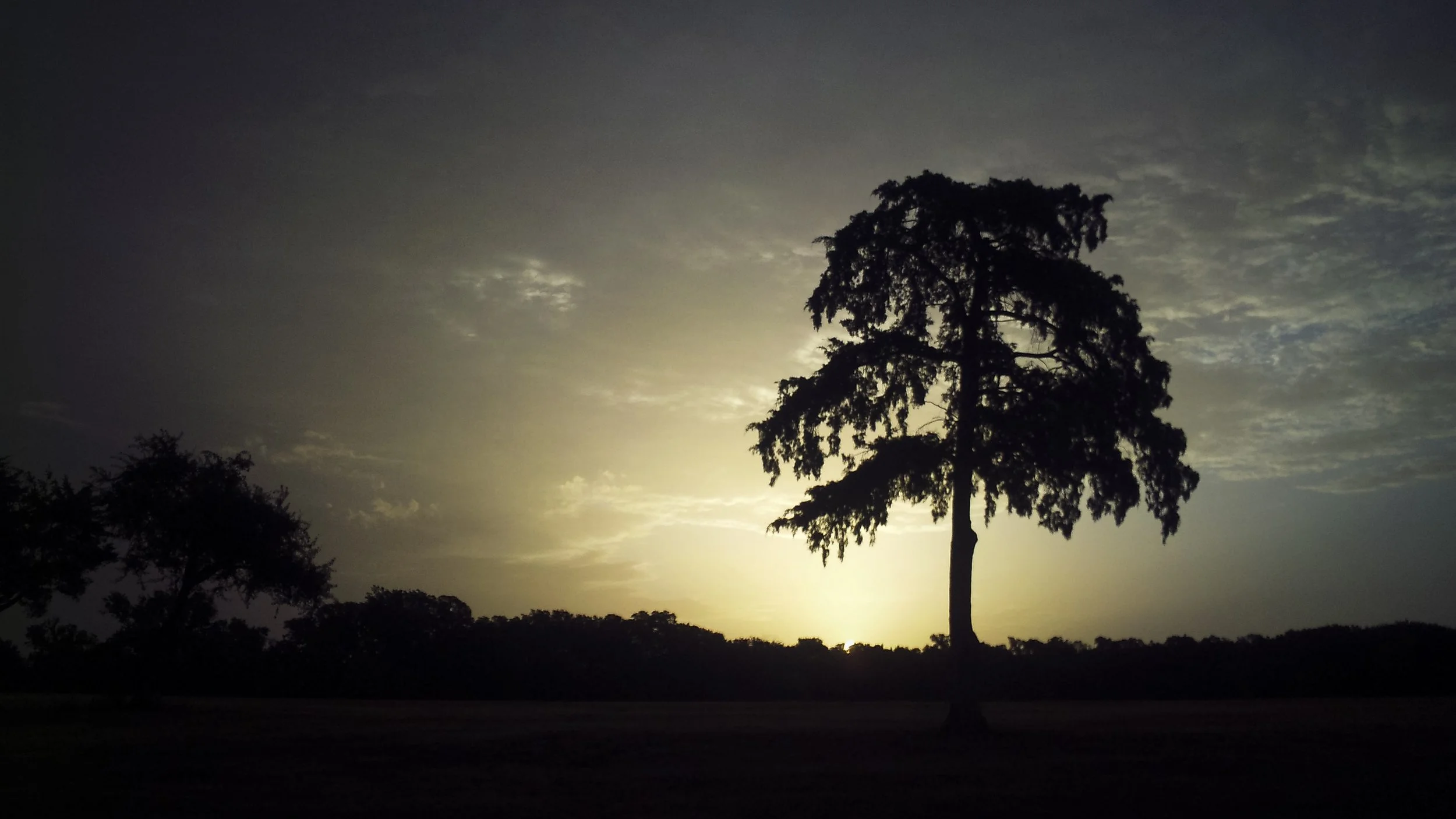 f2.8, 1/160, ISO 100. August 9, 2013