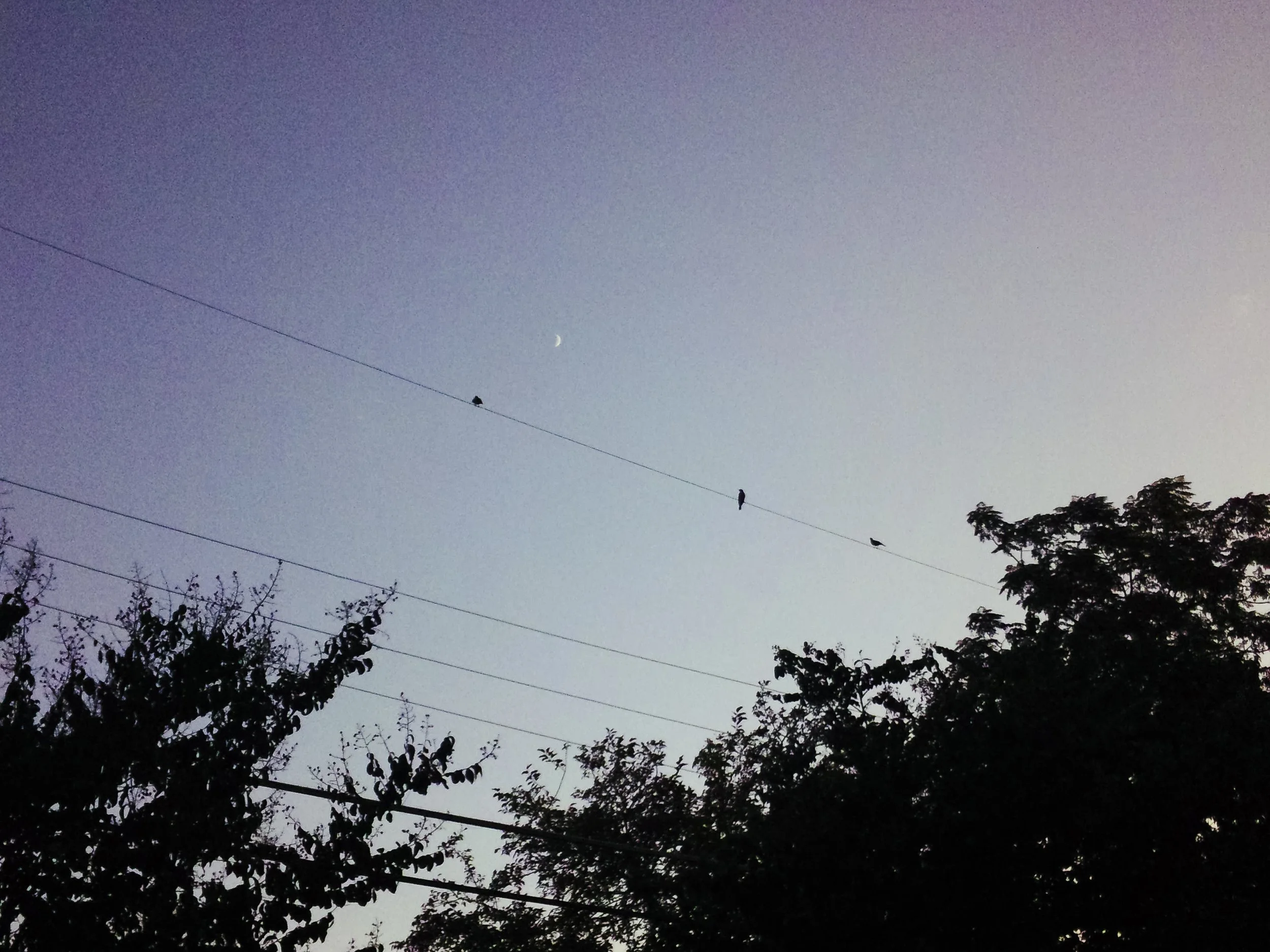 f2.8, 1/250, ISO 400. August 12, 2013