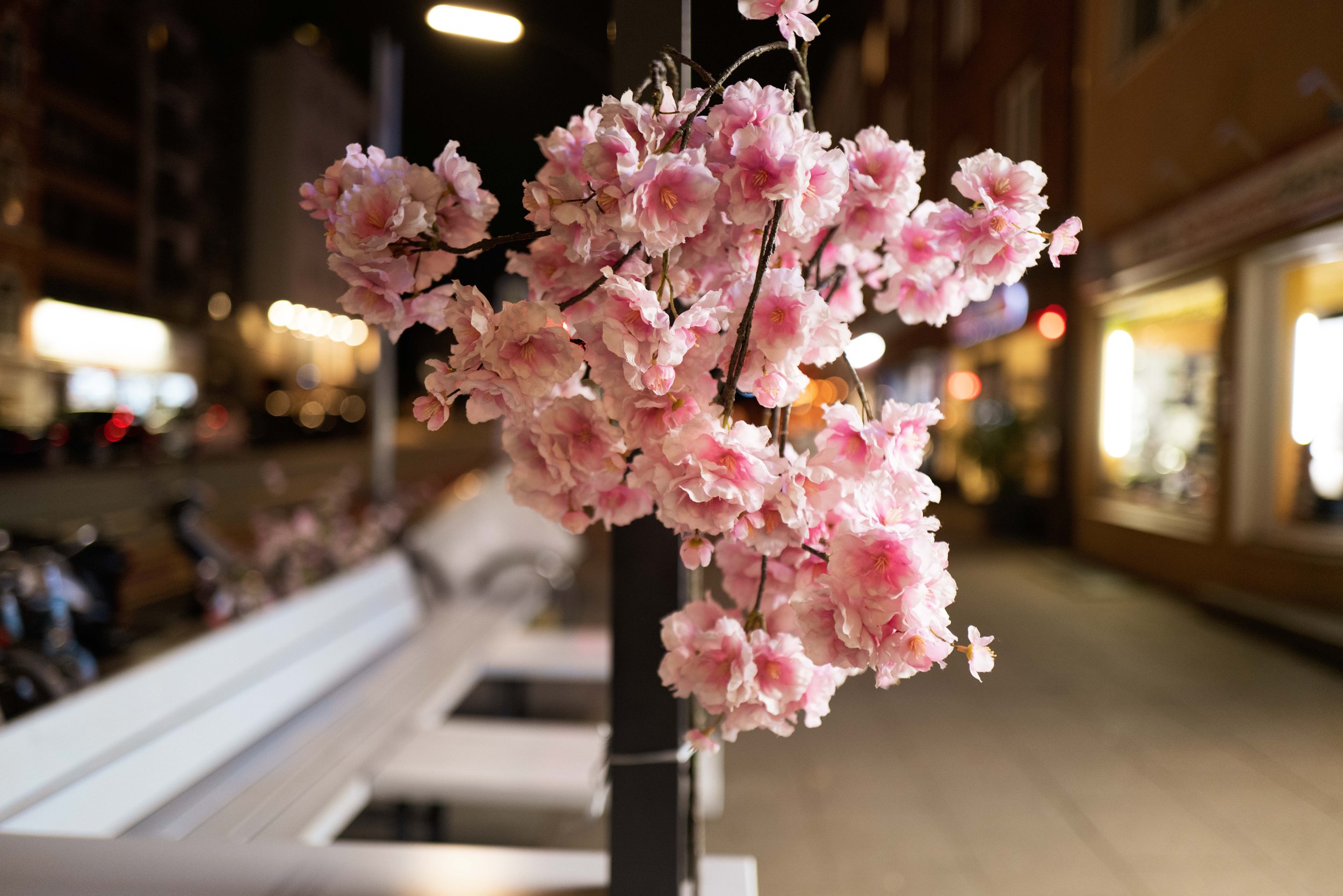  f1.7, 1/30, ISO 800. September 4, 2020 