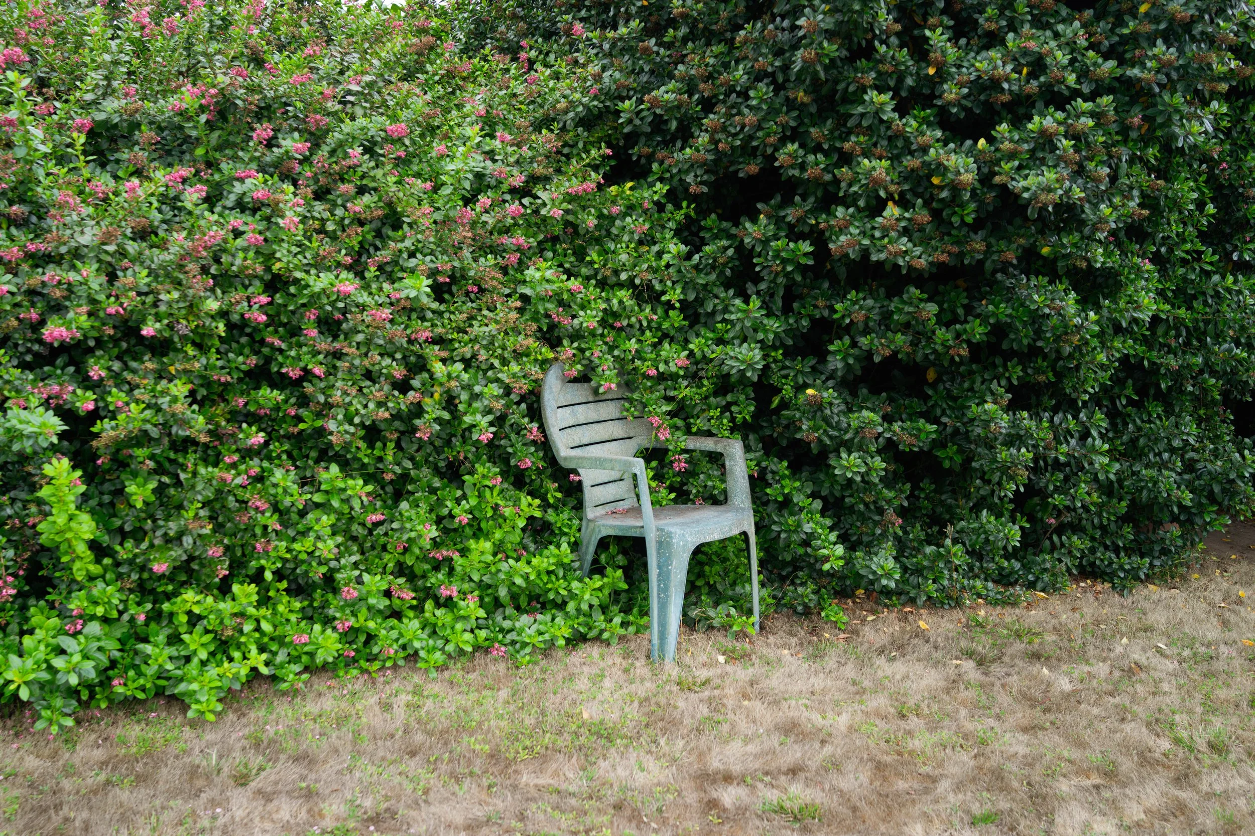  f4, 1/200, ISO 100. July 25, 2025 