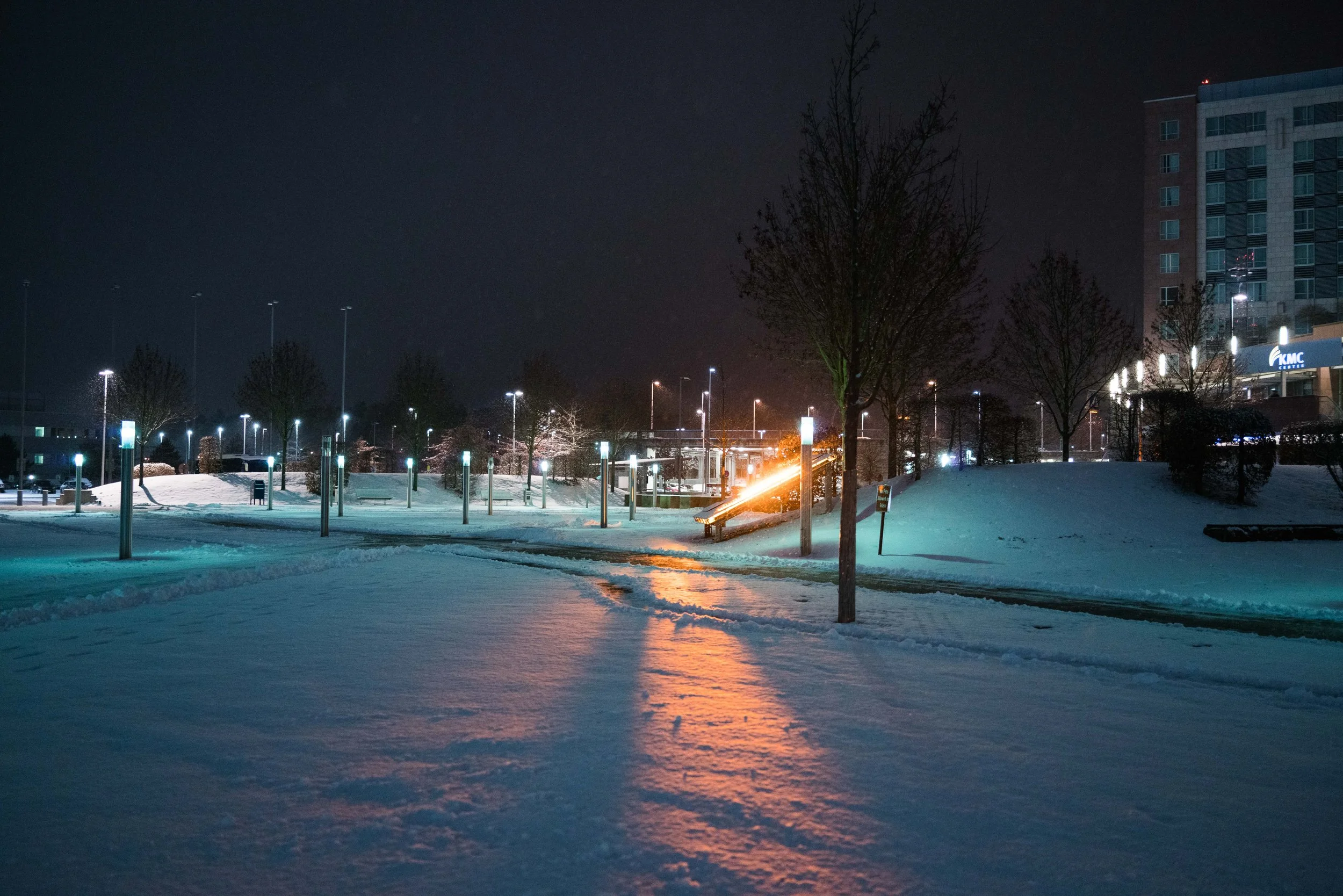 f2, 1/80, ISO 1600. January 31, 2019
