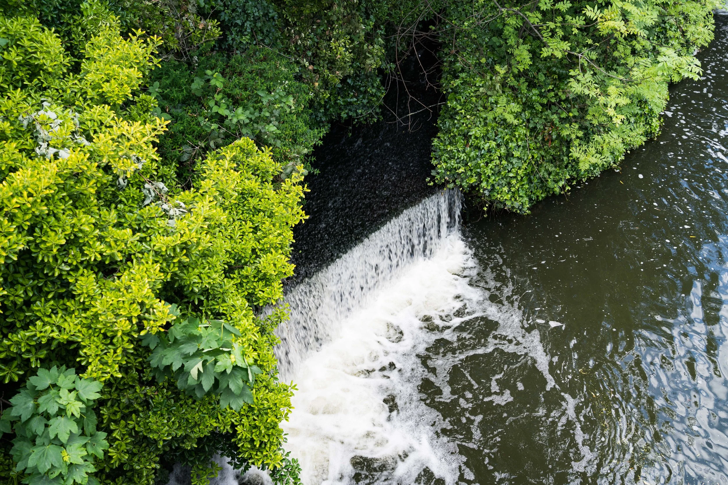 f4, 1/100, ISO 100. May 24, 2019