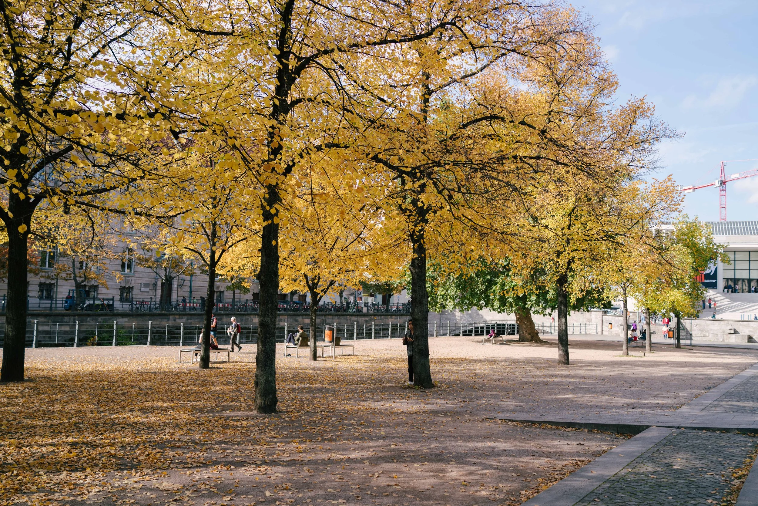 f2.8, 1/640, ISO 100. October 14, 2019