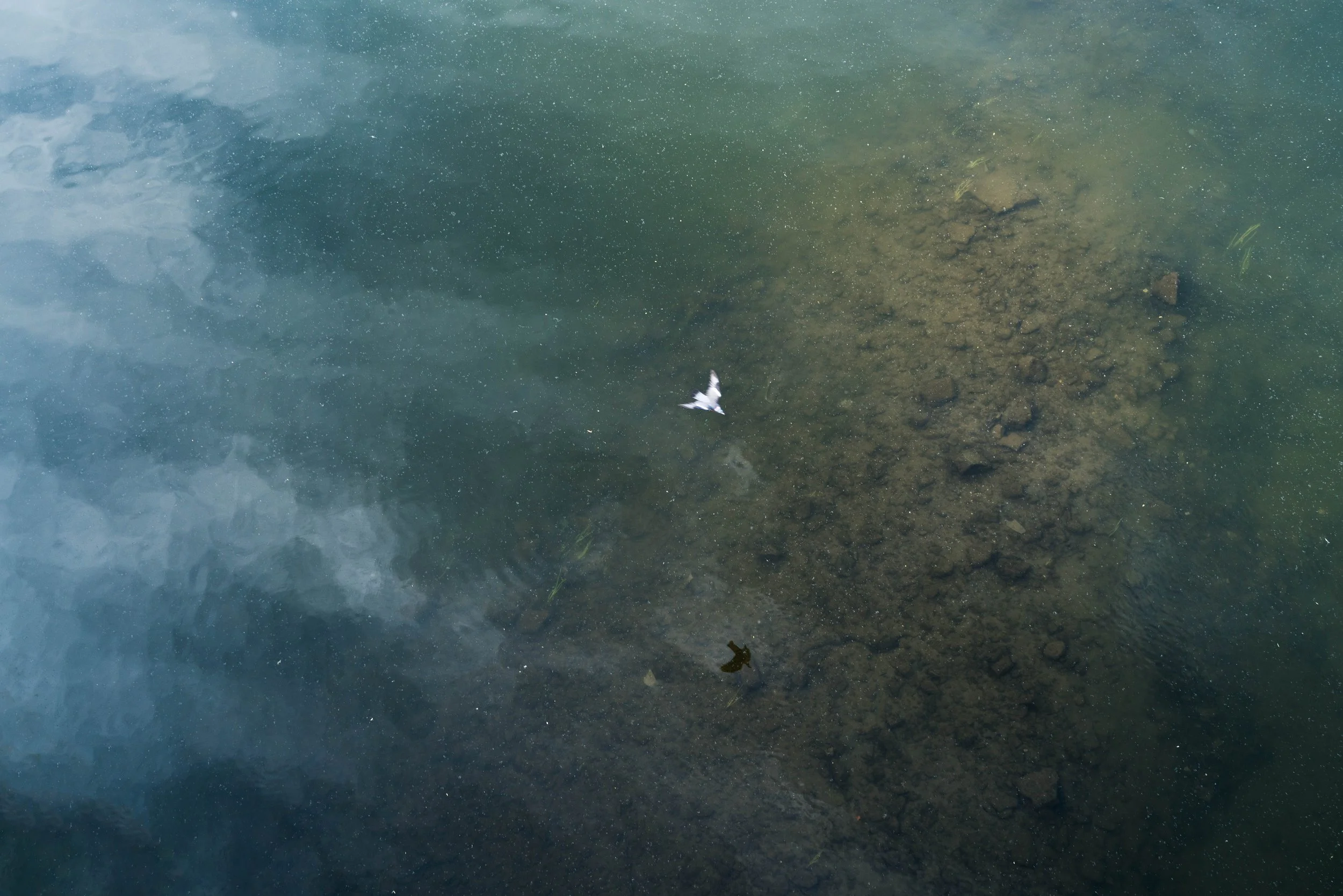 f4, 1/400, ISO 100. May 12, 2018