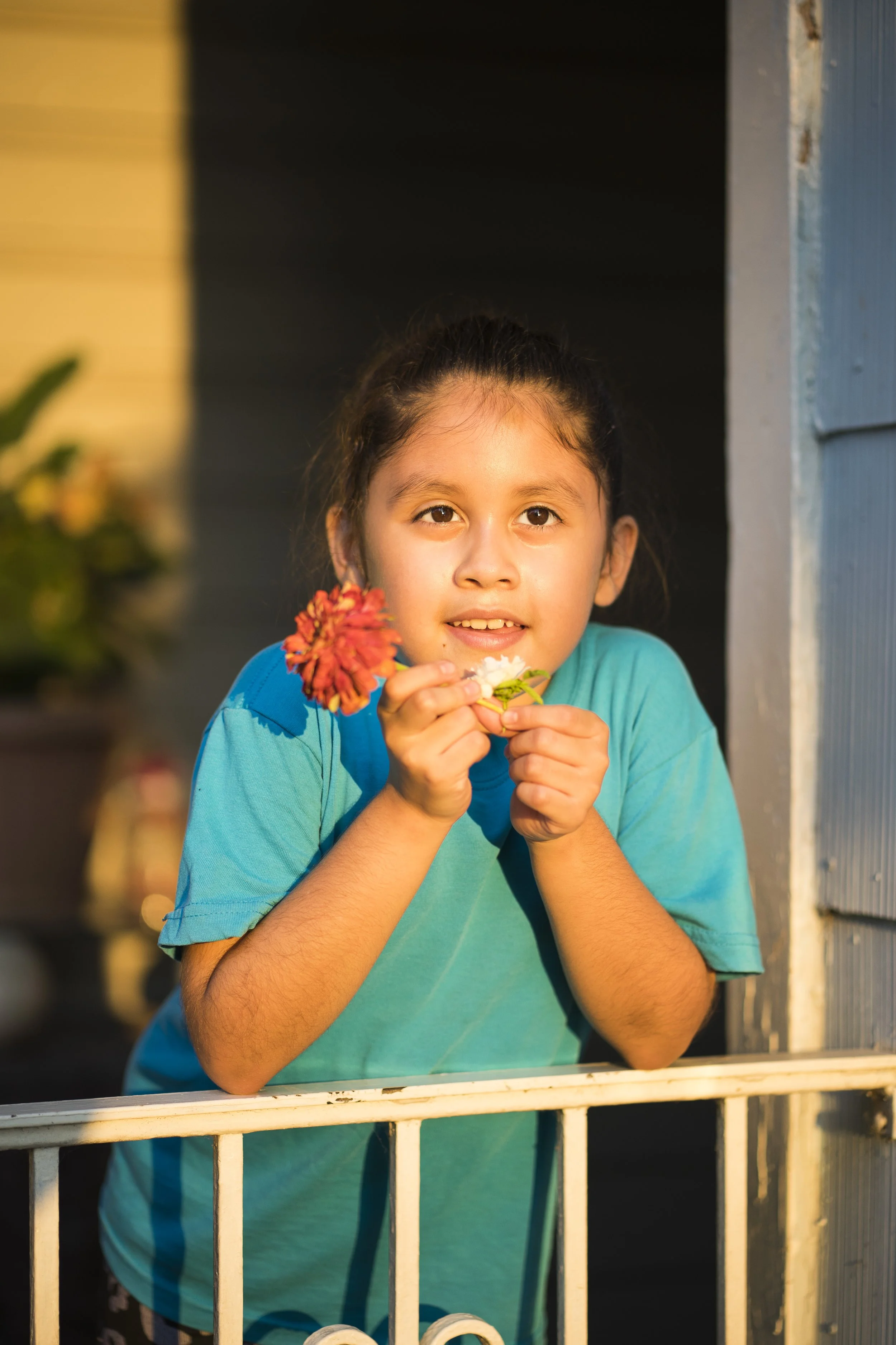 Sony 85mm f1.8 FE, f2, 1/800, ISO 200. August 31, 2017
