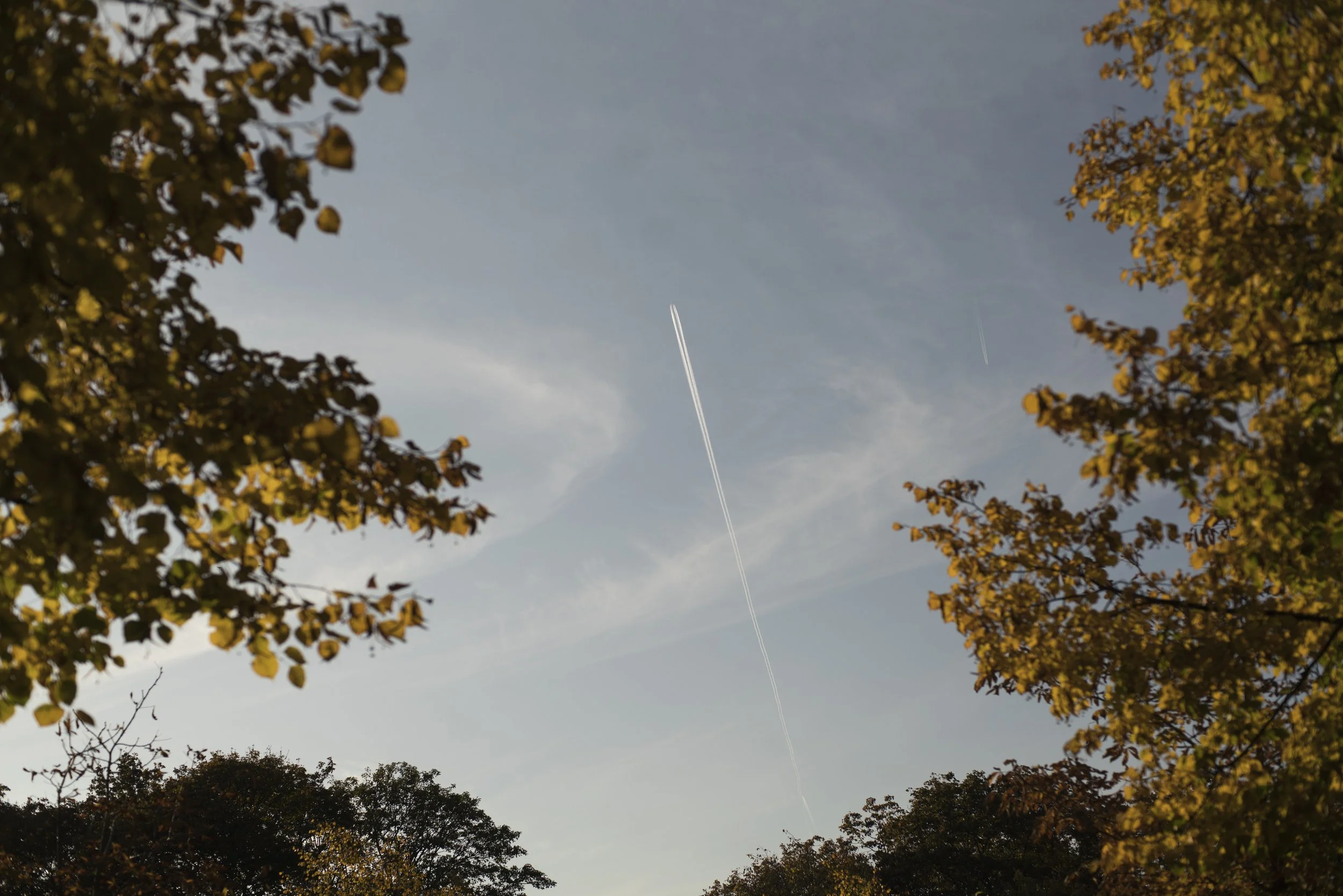 Carl Zeiss 50mm f1.7 Planar T*, 1/4000, ISO 100. October 14, 2019