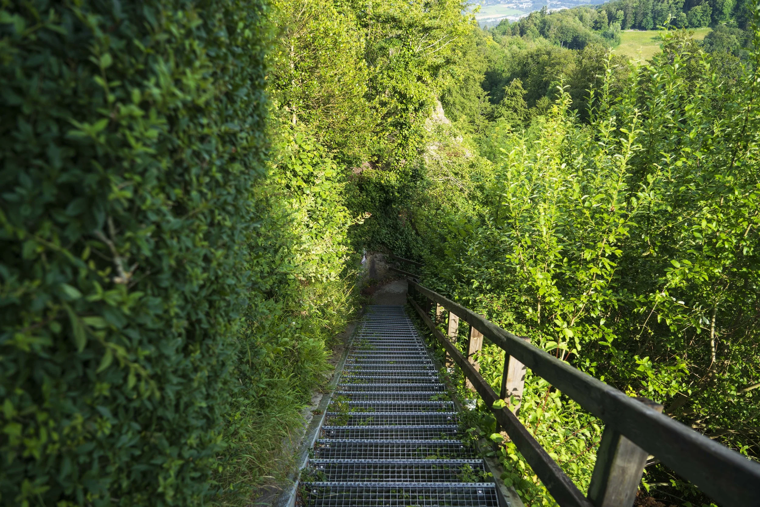 Sony 24-105mm f4 FE G OSS, 26mm, f4, 1/200, ISO 100. July 10, 2020