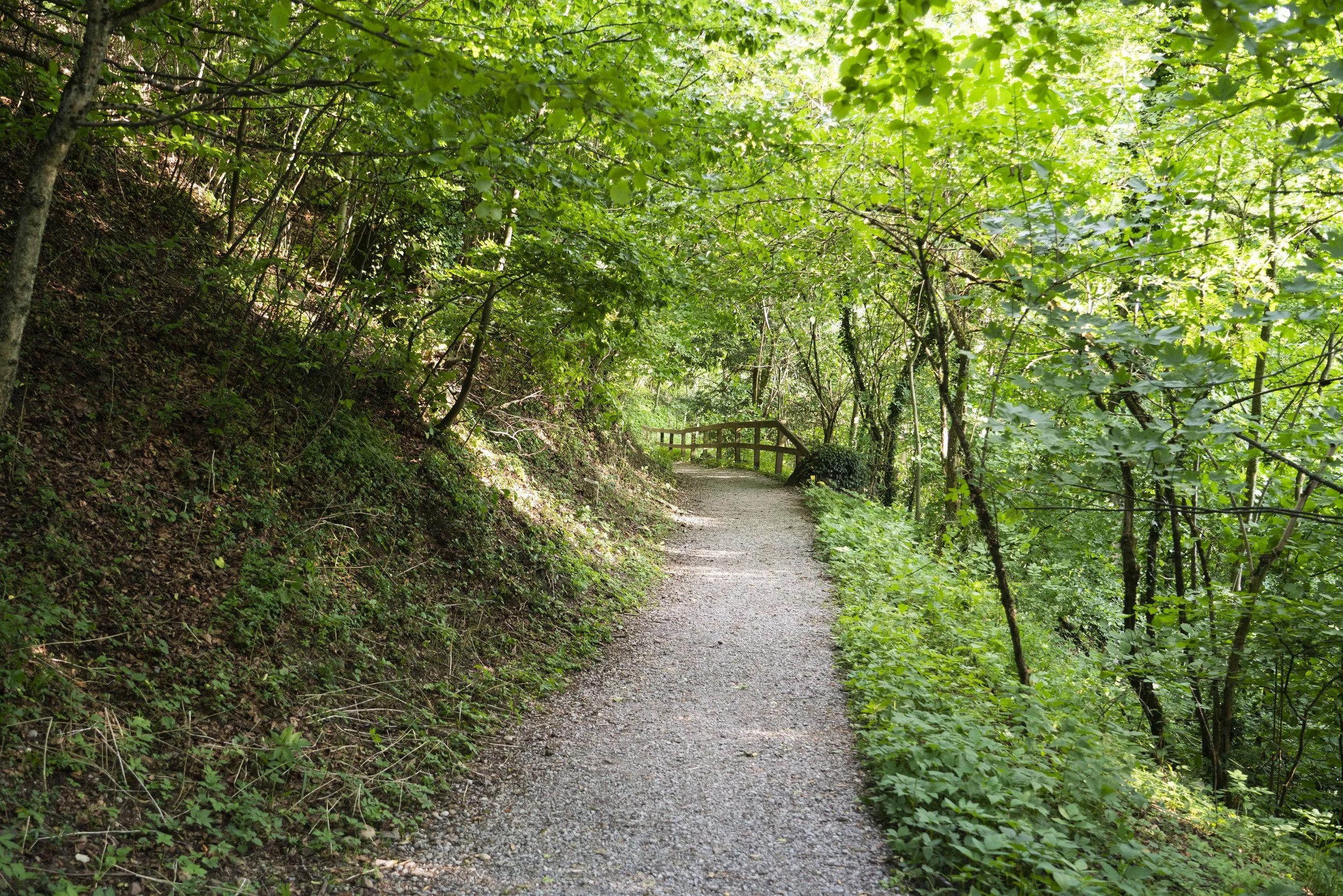 Sony 24-105mm f4 FE G OSS, 34mm, f4, 1/60, ISO 800. July 10, 2020