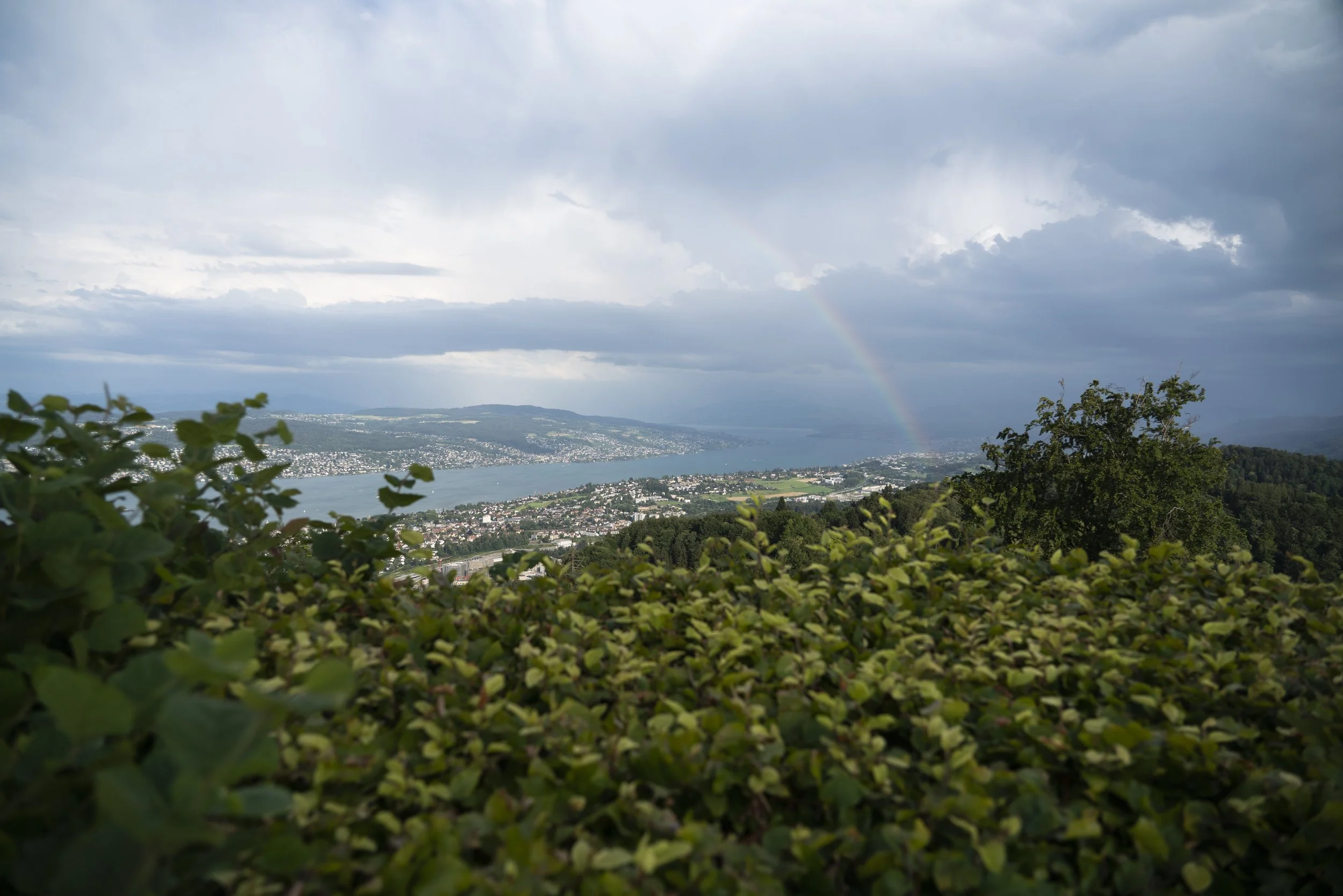 Sony 24-105mm f4 FE G OSS, 24mm, f4, 1/1000, ISO 100. July 10, 2020