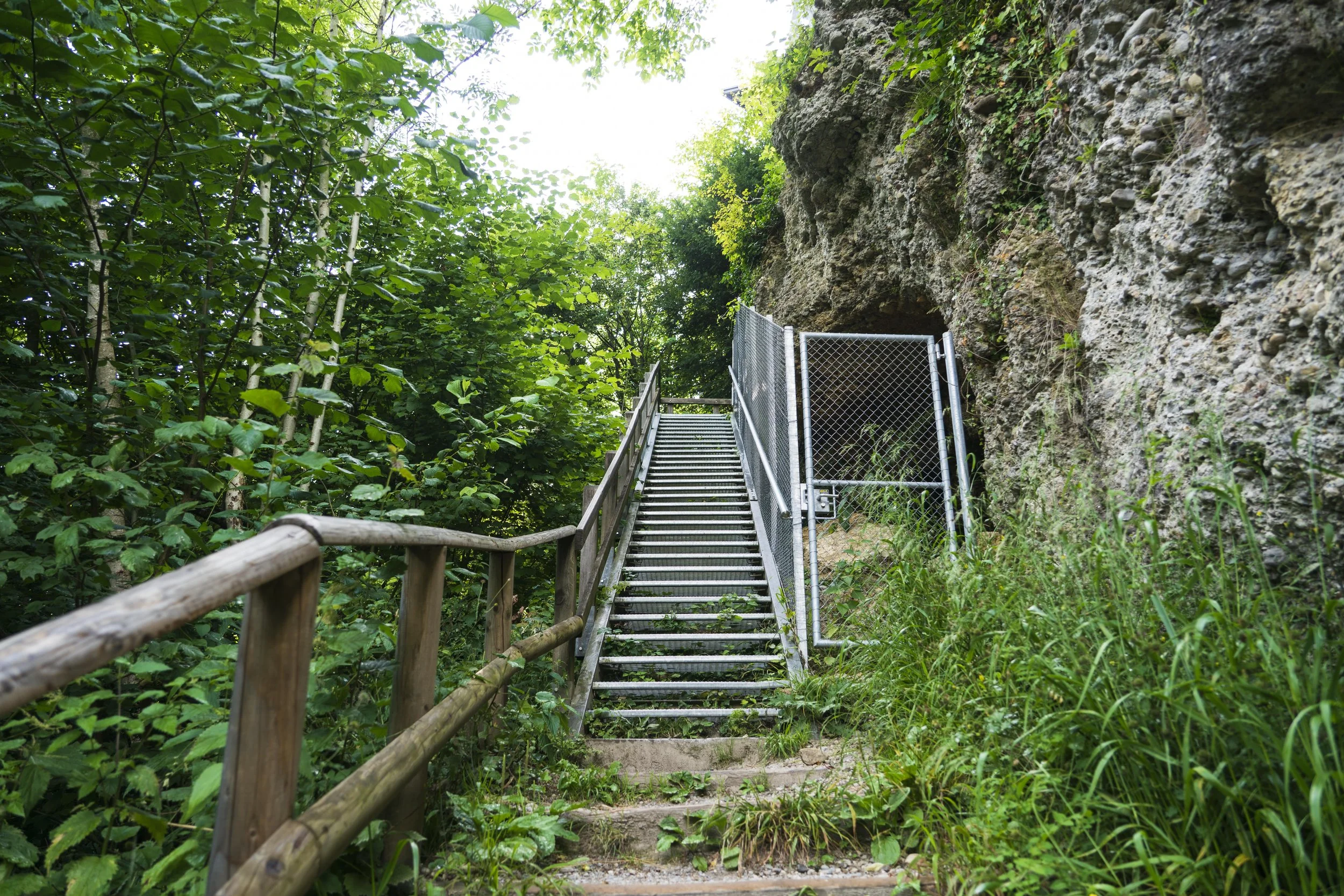 Sony 24-105mm f4 FE G OSS, 24mm, f4, 1/60, ISO 100. July 10, 2020