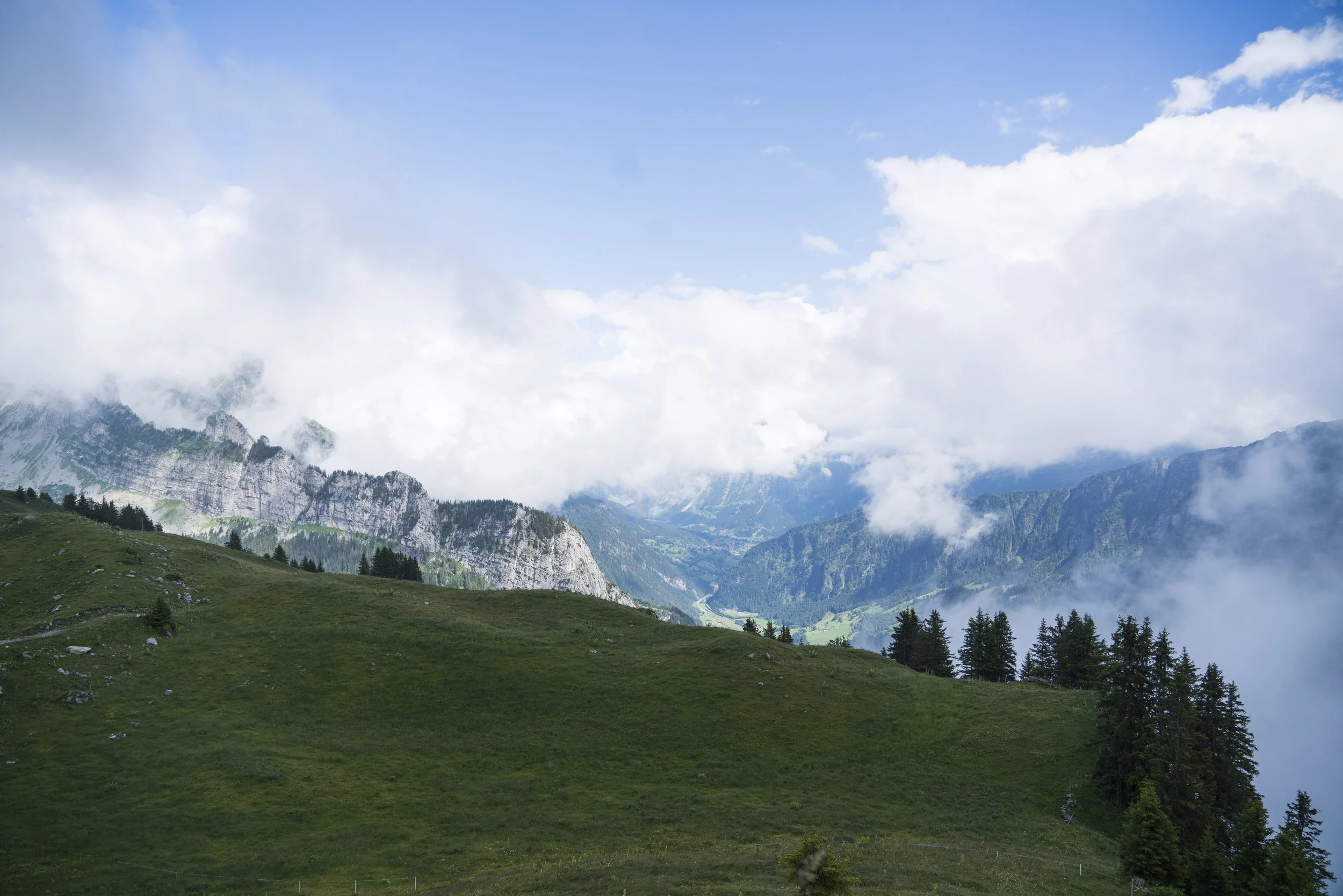 Sony 24-105mm f4 FE G OSS, 24mm, f4, 1/1000, ISO 100. July 11, 2020