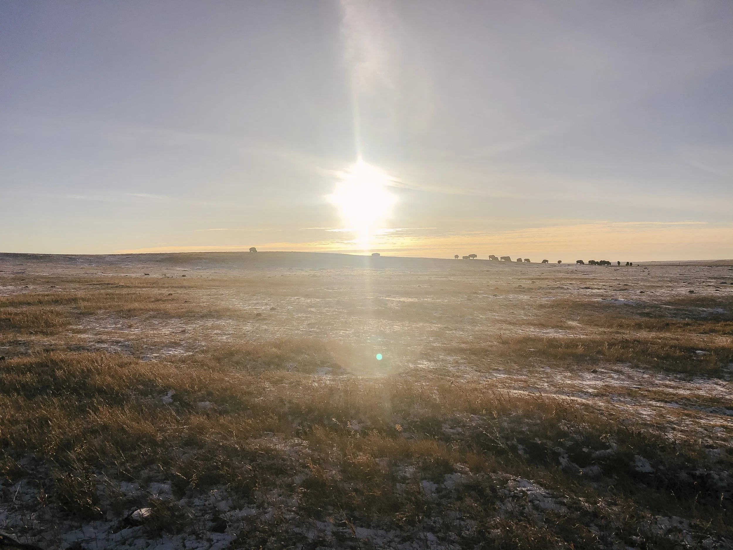  f1.8, 1/6900, ISO 20. February 15, 2021 