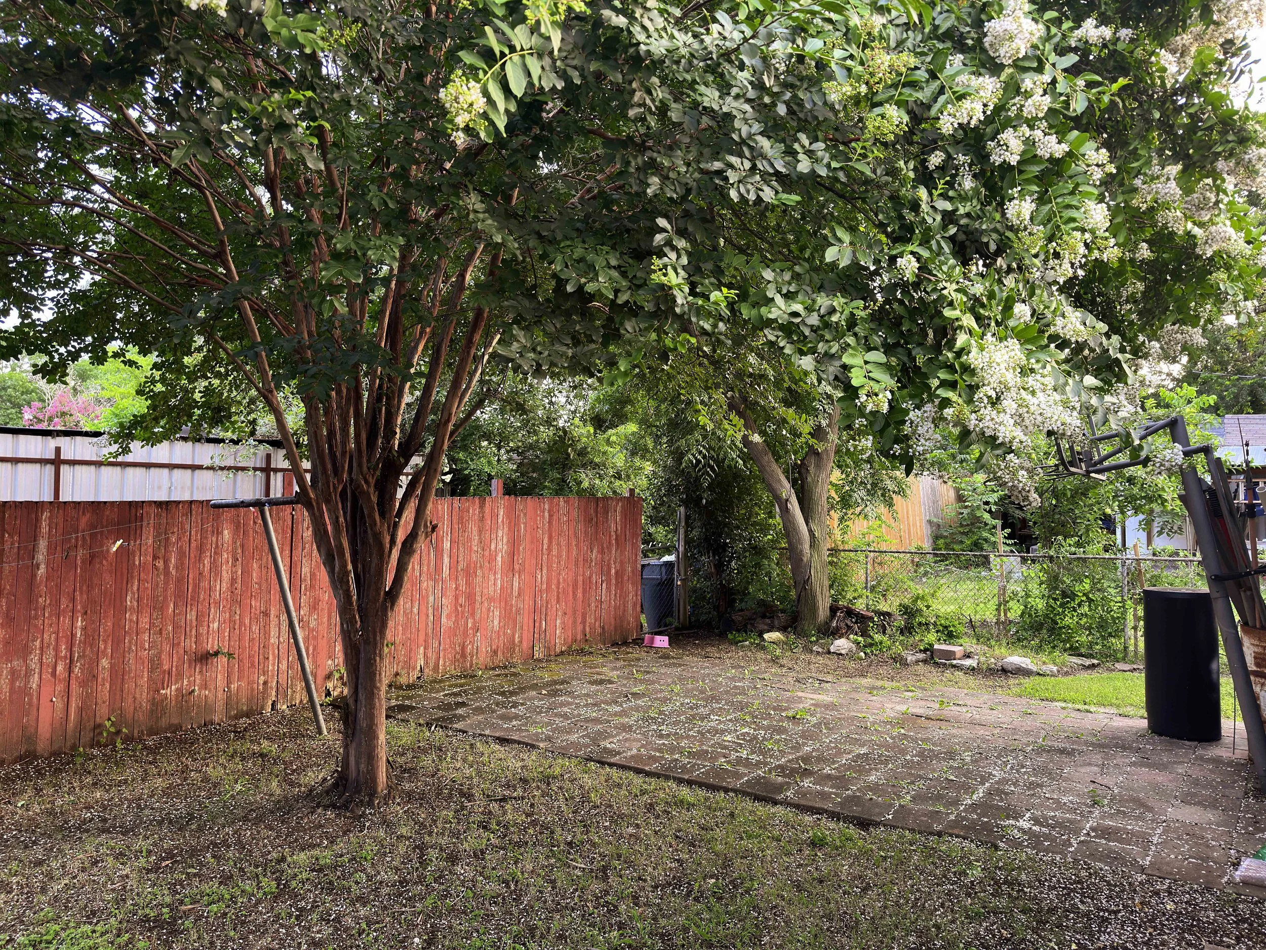  f1.8, 1/60, ISO 400. June 10, 2024 