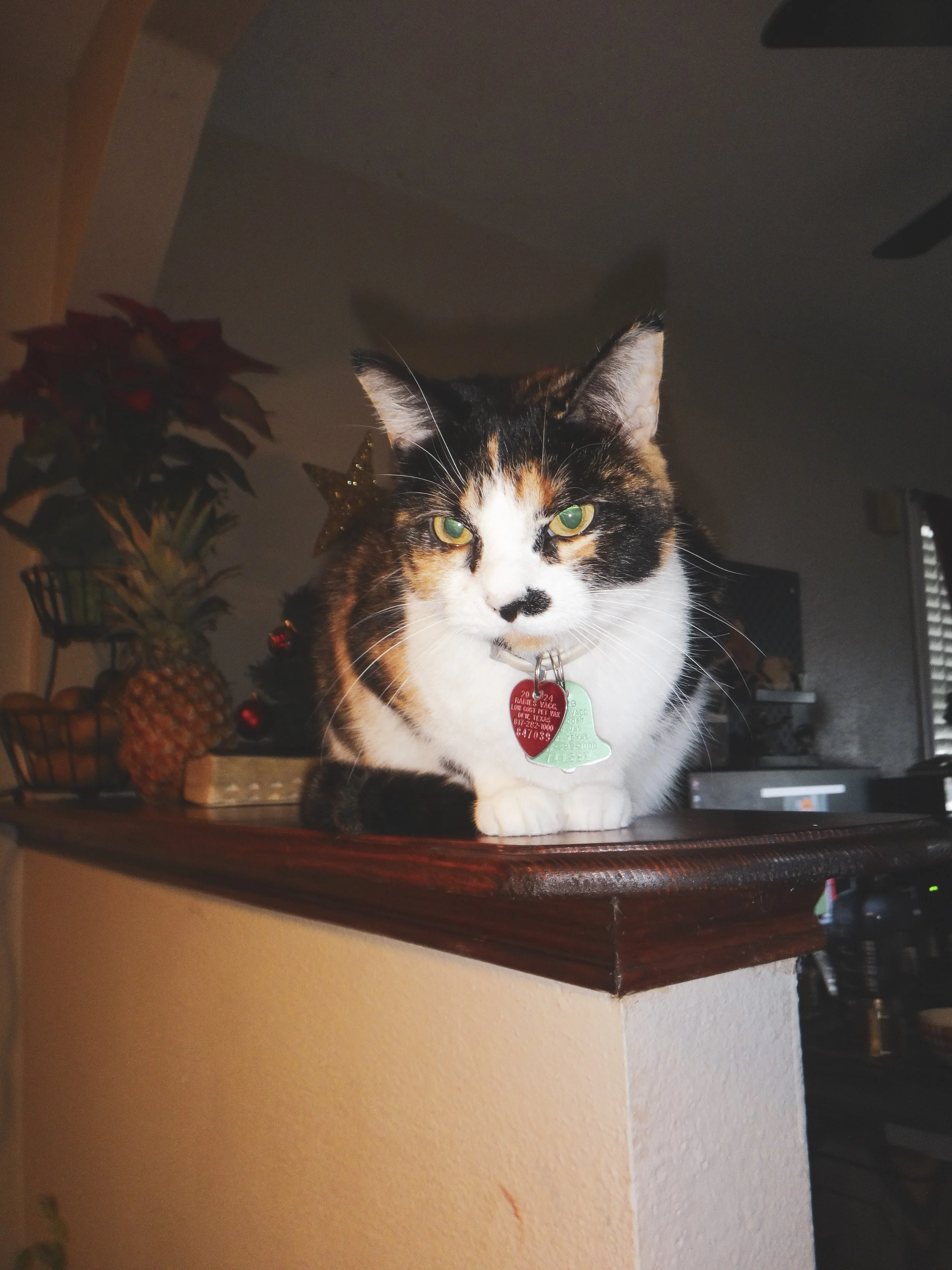  4.7mm, f3.5, 1/13, ISO 200. December 22, 2024 