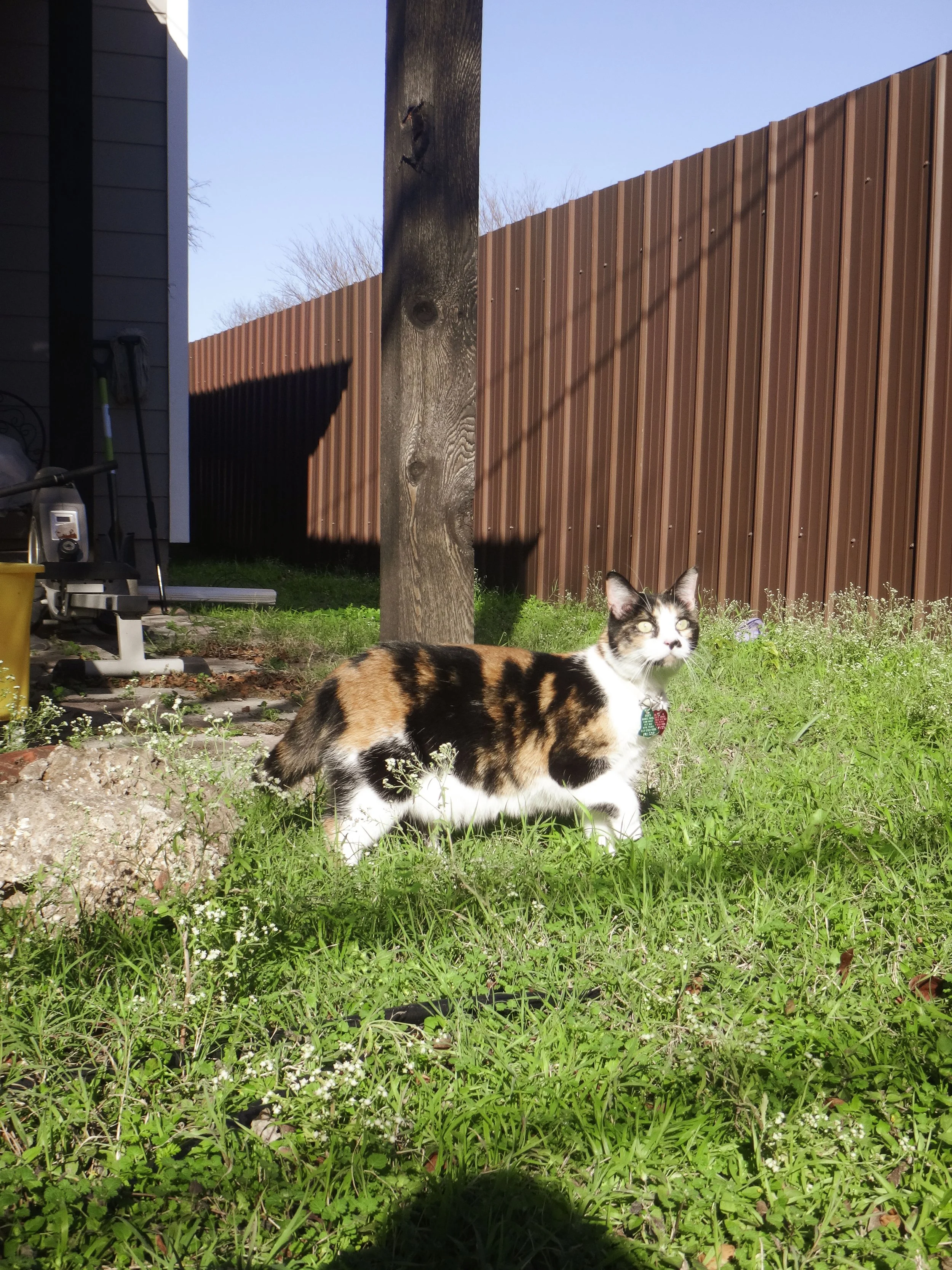  8.22mm, f4.5, 1/500, ISO 80. December 29, 2024 