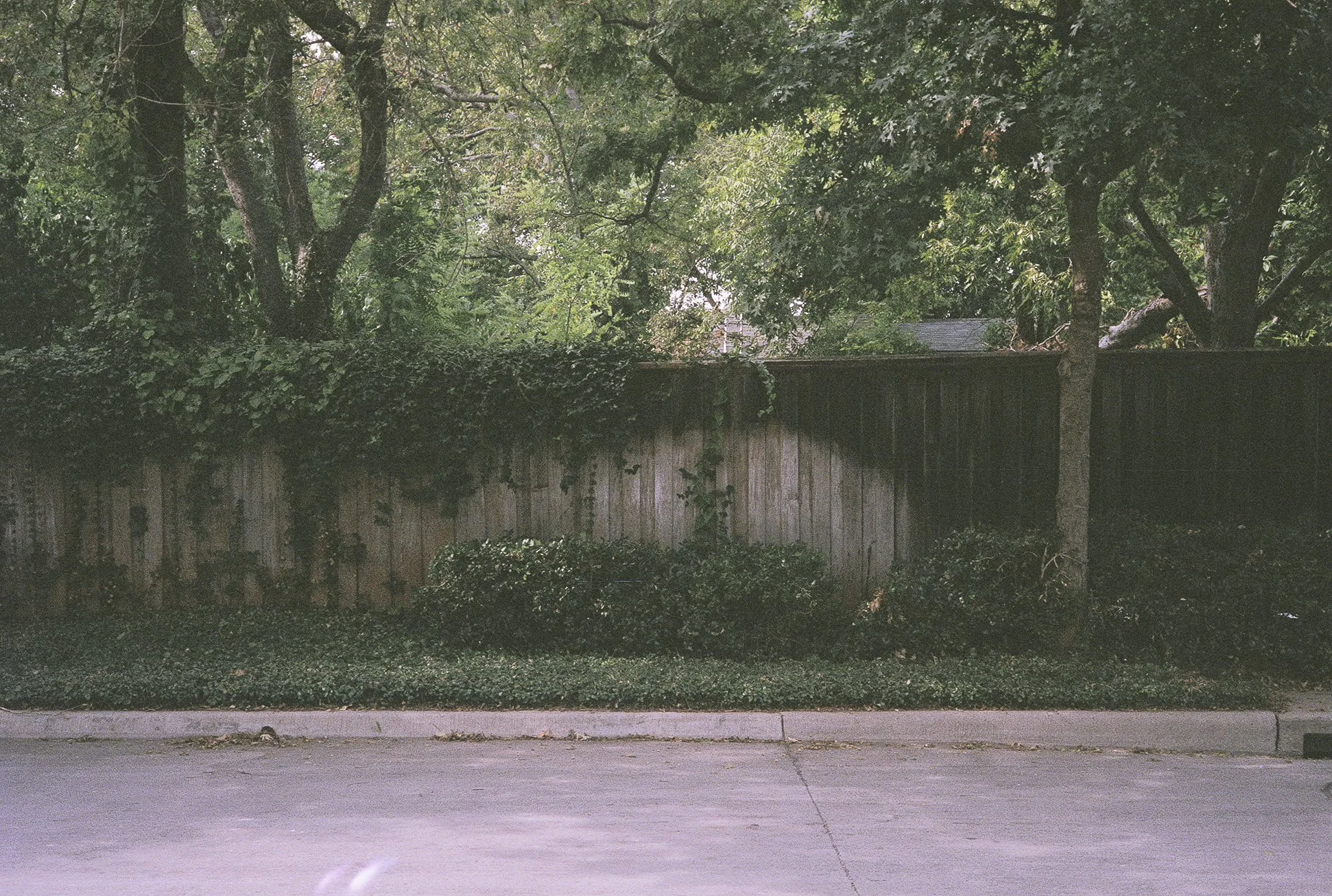  Fujifilm Superia X-Tra 400. 2015 