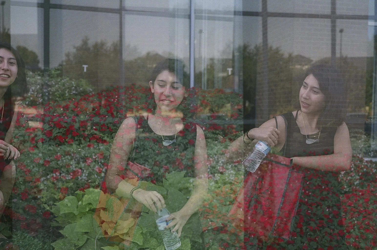  Fujifilm Superia X-Tra 400. 2015 