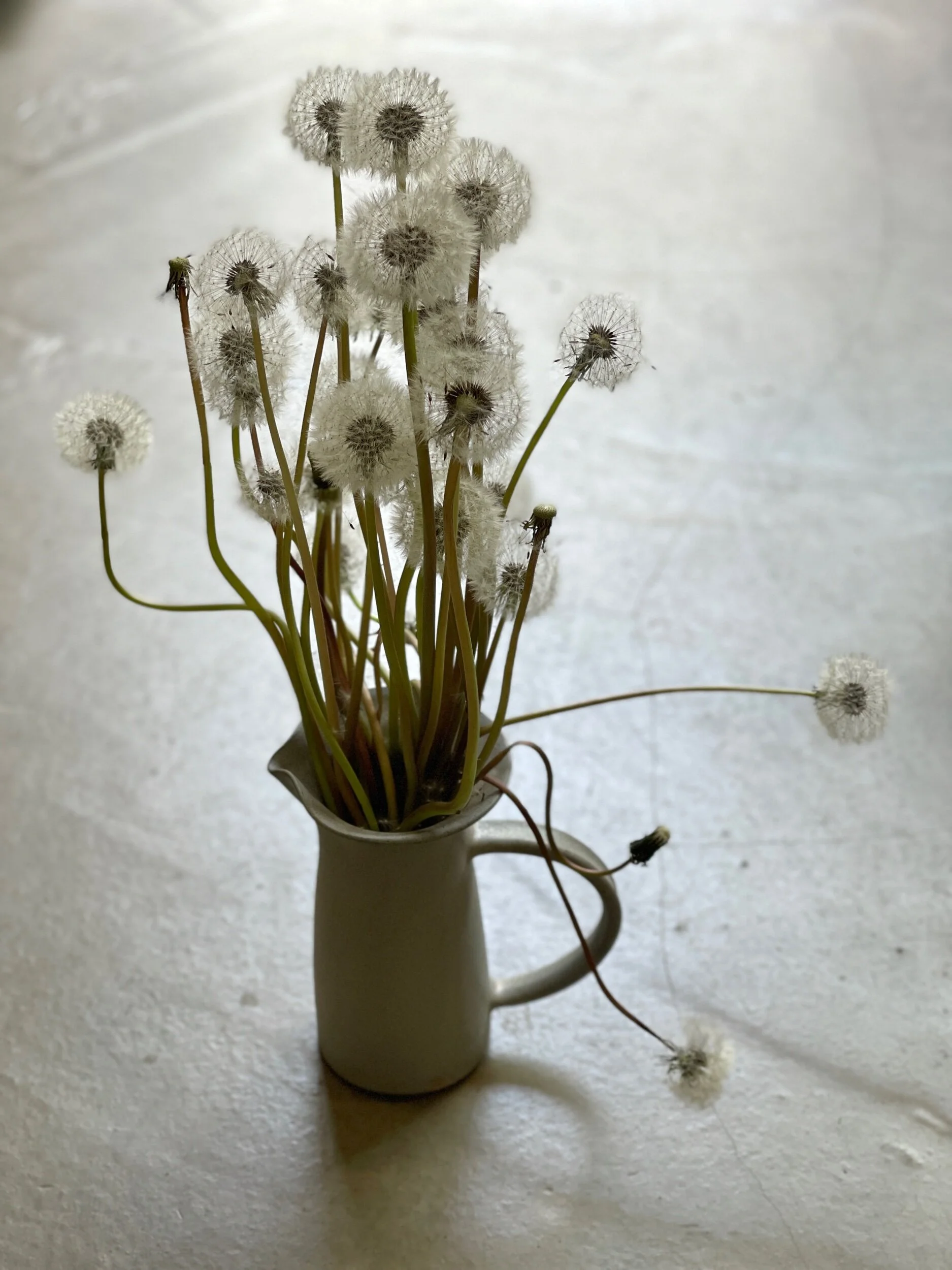 E1D18F84-6FE9-4CCA-BCFE-3FD67B2D4DAE