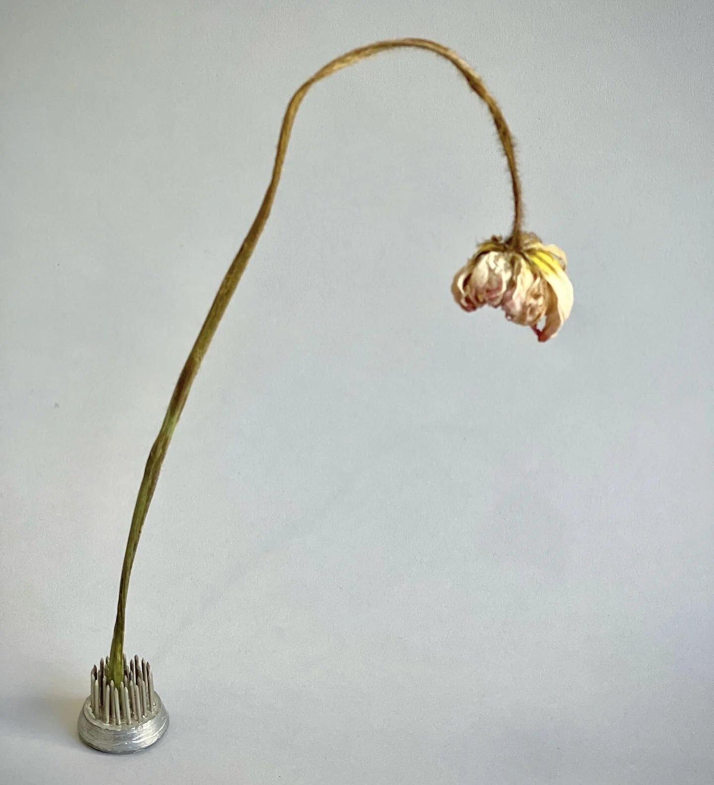 585DB250-219F-4533-B143-0BA9ABA6A0E7