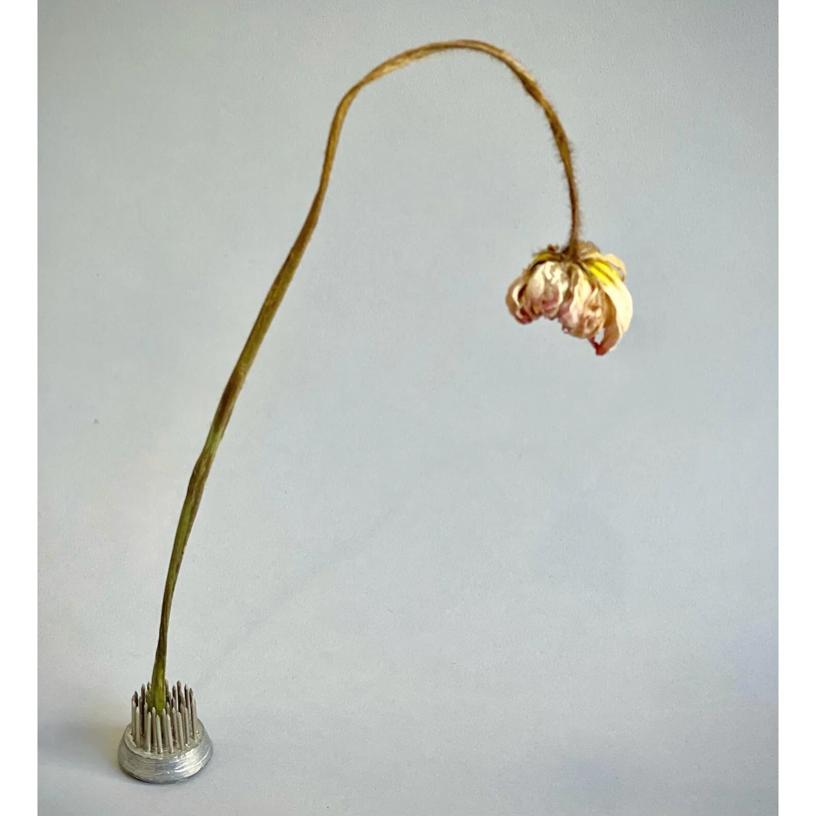 A0F3442A-C77D-45CC-8C03-A4B8BD727AE3