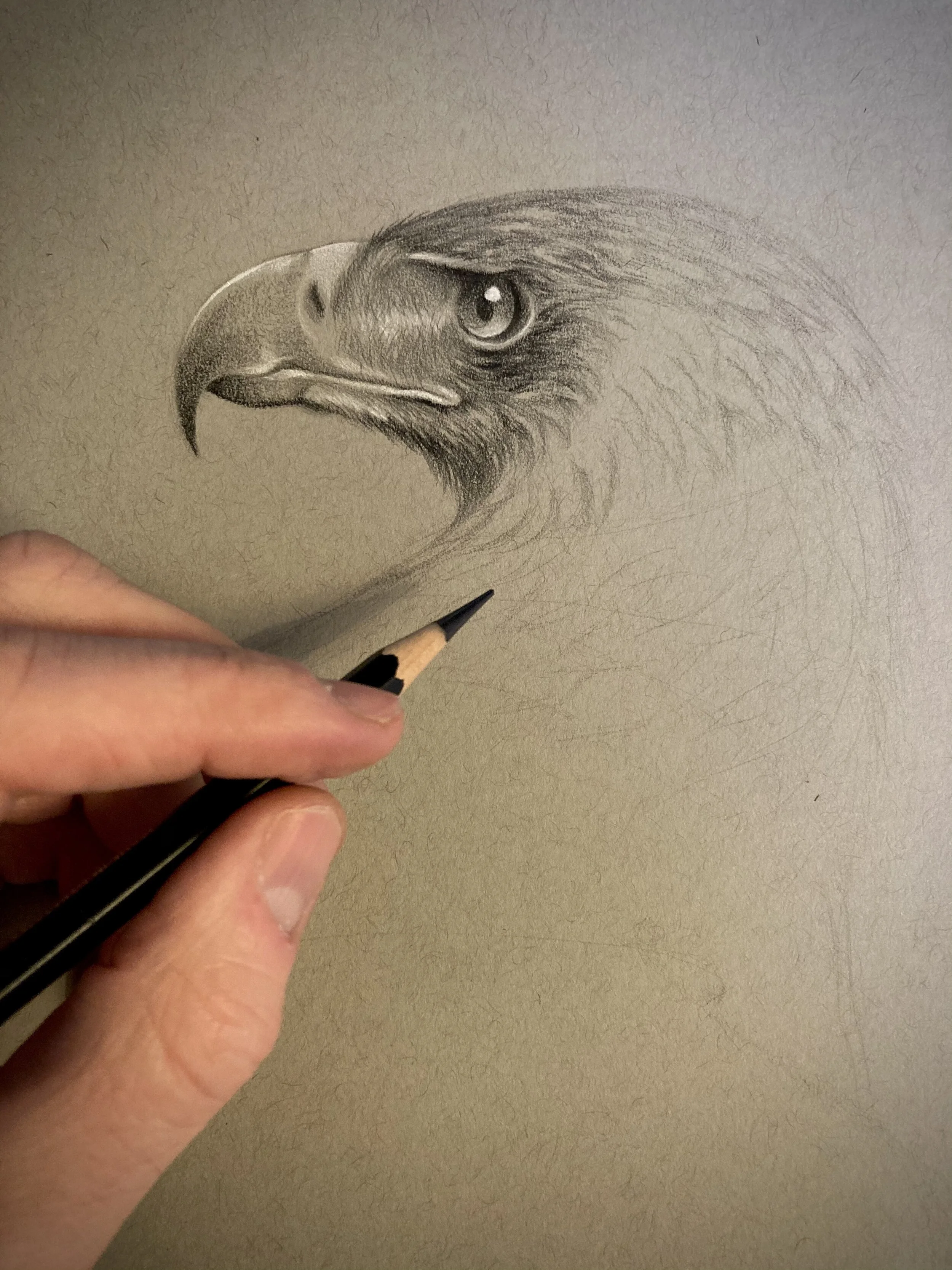 IMG_8924.jpg