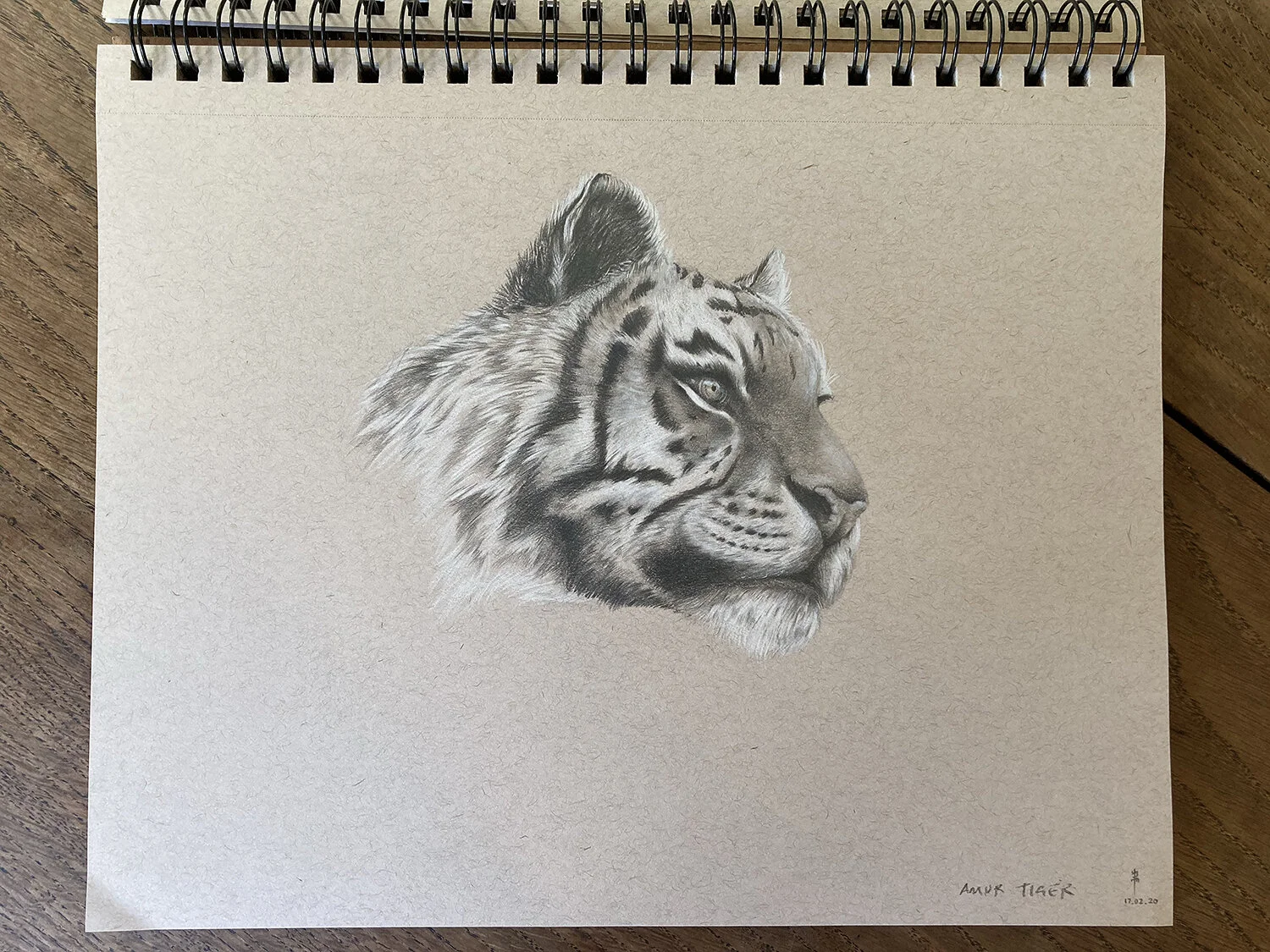 Amur Tiger.jpg