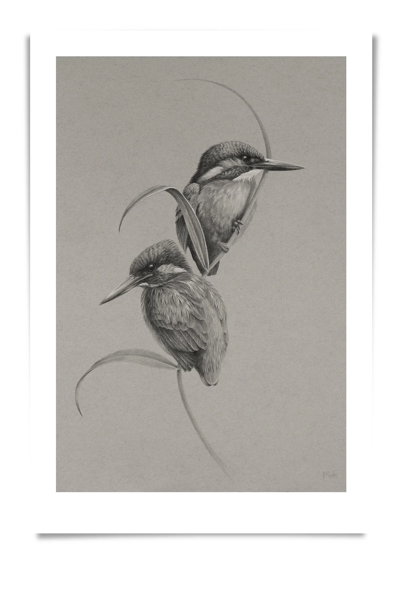 Print Preview_02.jpg