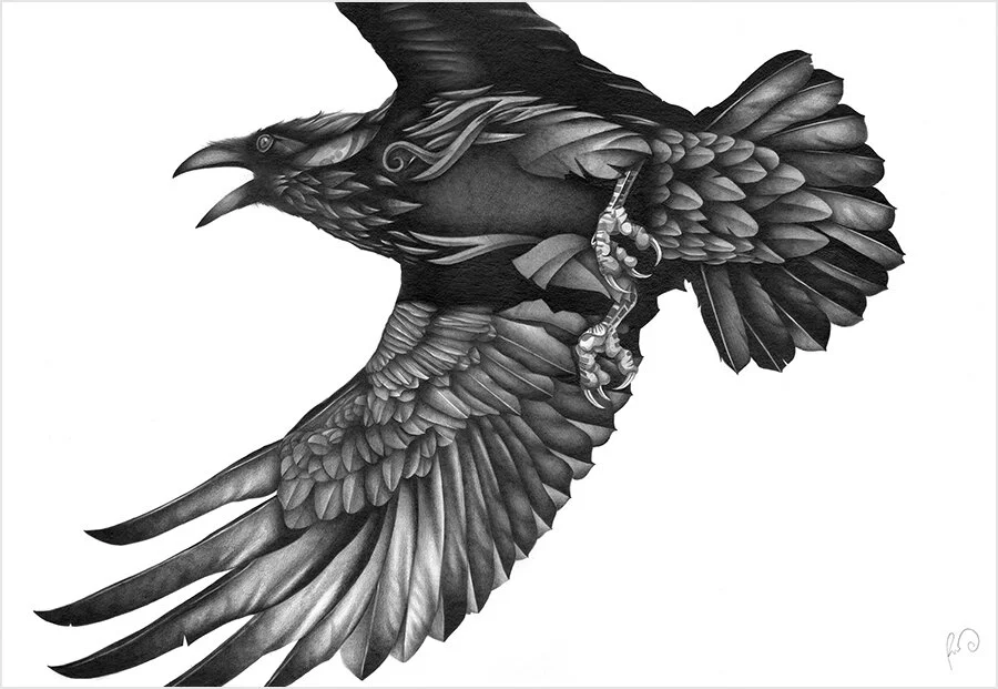 Raven_Pencil.jpg