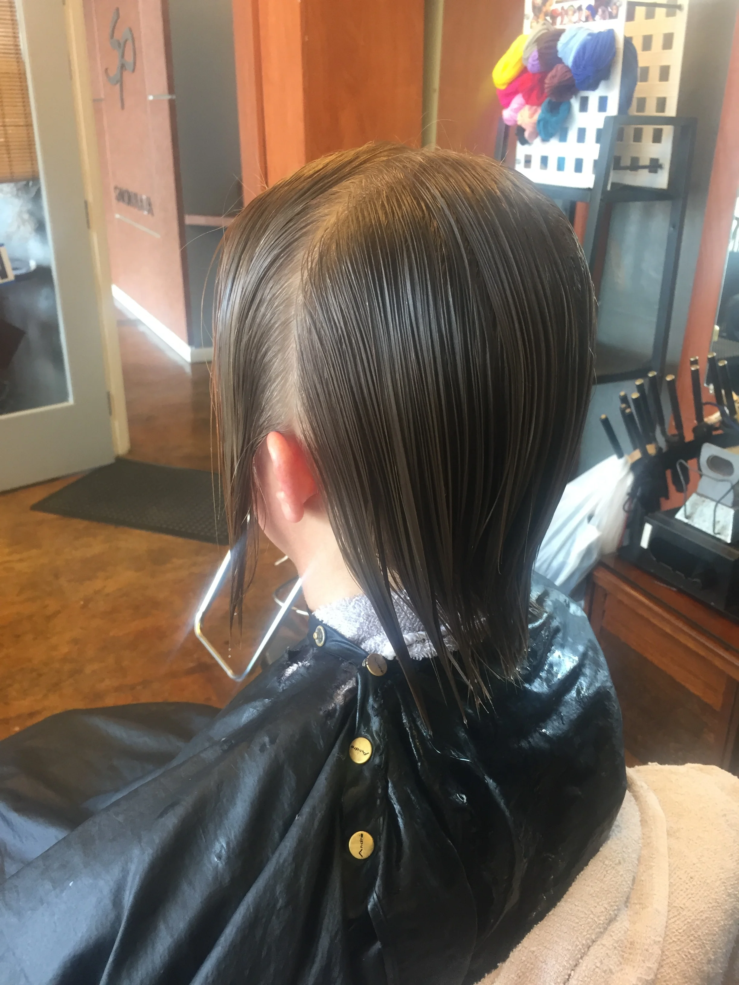  BEFORE: Hair before cut and color 